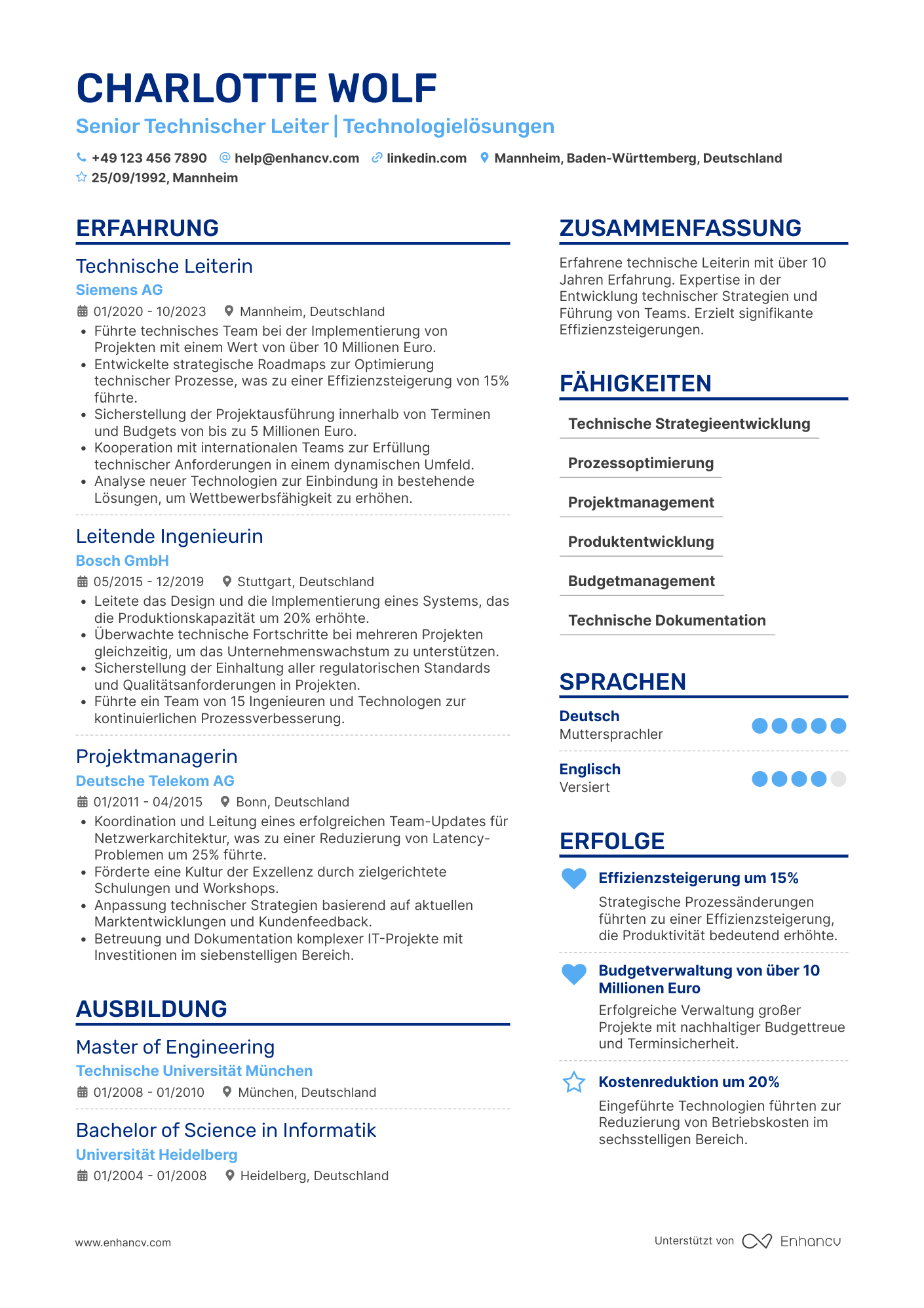 Lebenslauf als Senior Technischer Leiter Resume Example