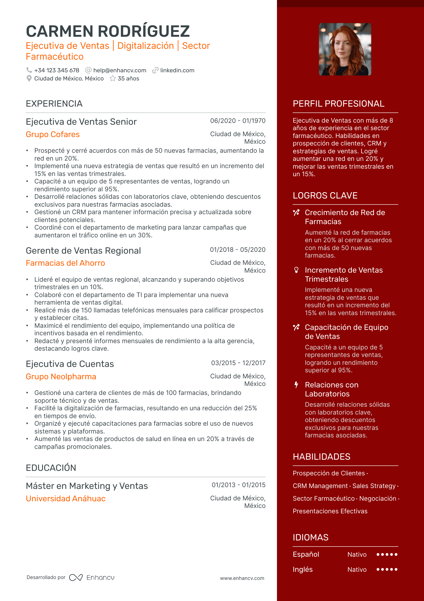 Vendedor Senior Resume Example