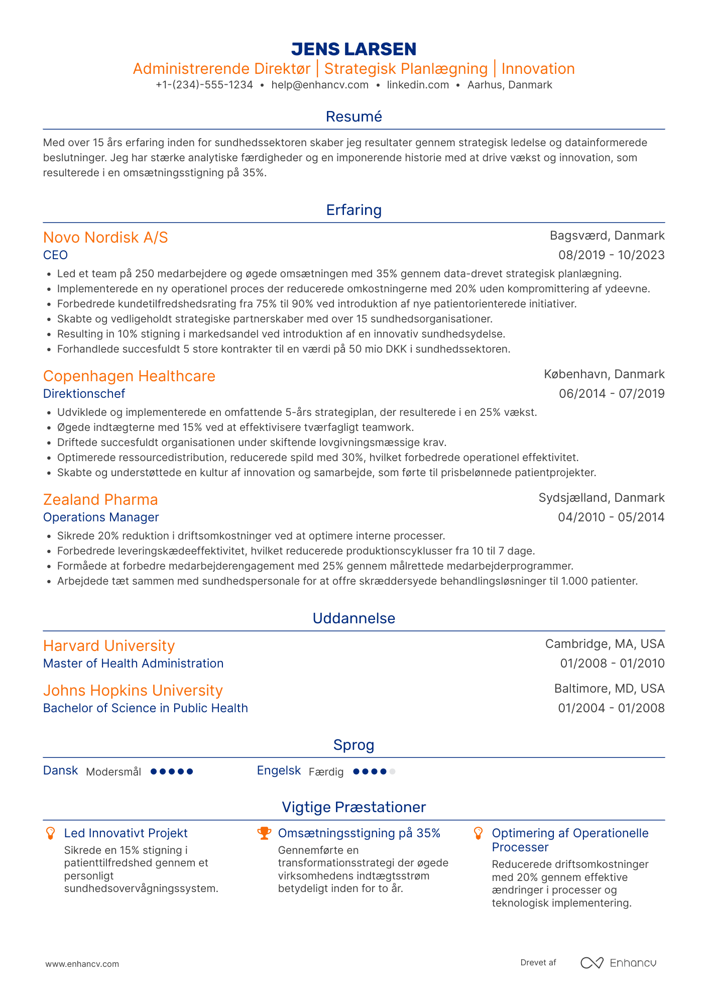 CV til Administrerende Direktør i Helsevesenet Resume Example