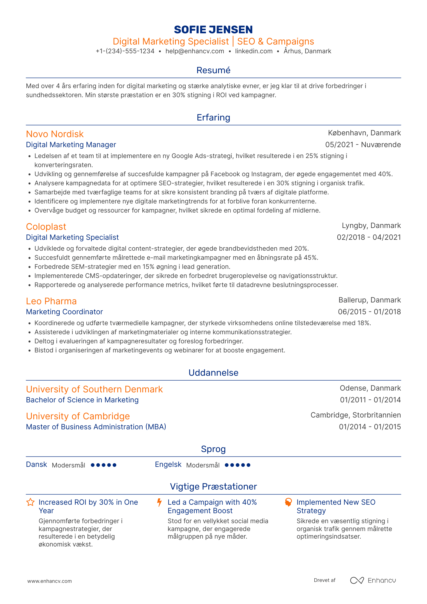 CV til Digital marketingansvarlig – sundhedssektoren Resume Example