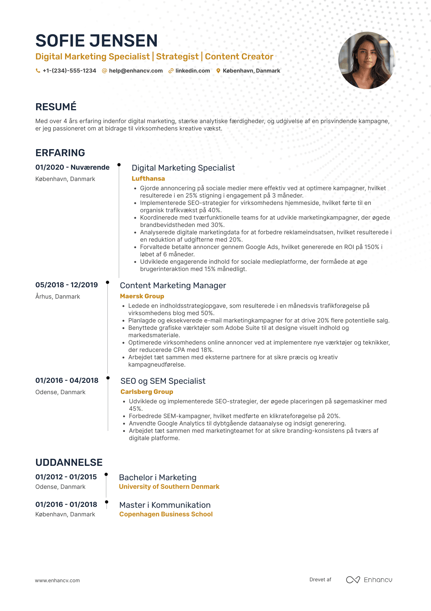 CV til Digital marketingkoordinator Resume Example
