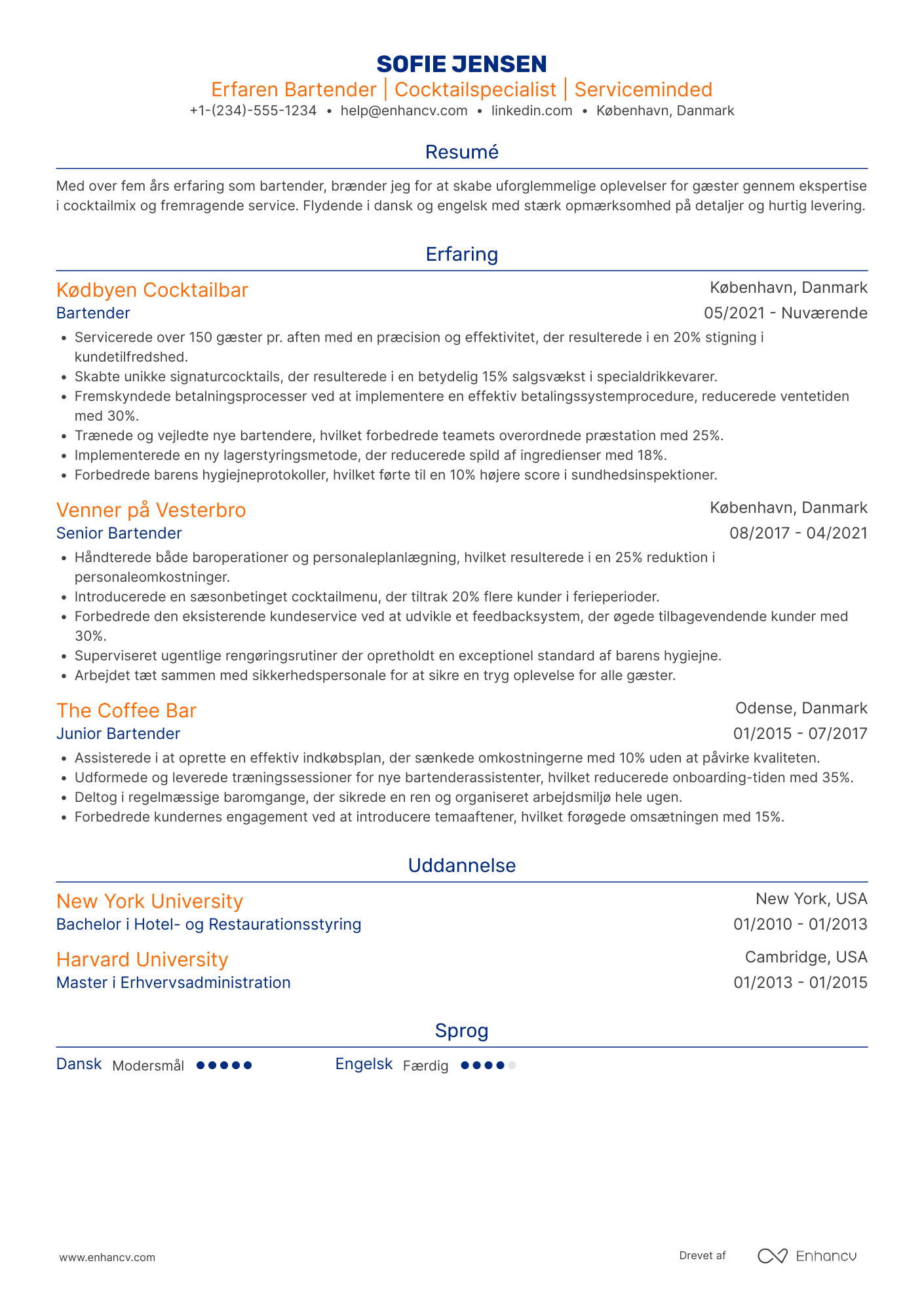 CV til Clubbartender Resume Example
