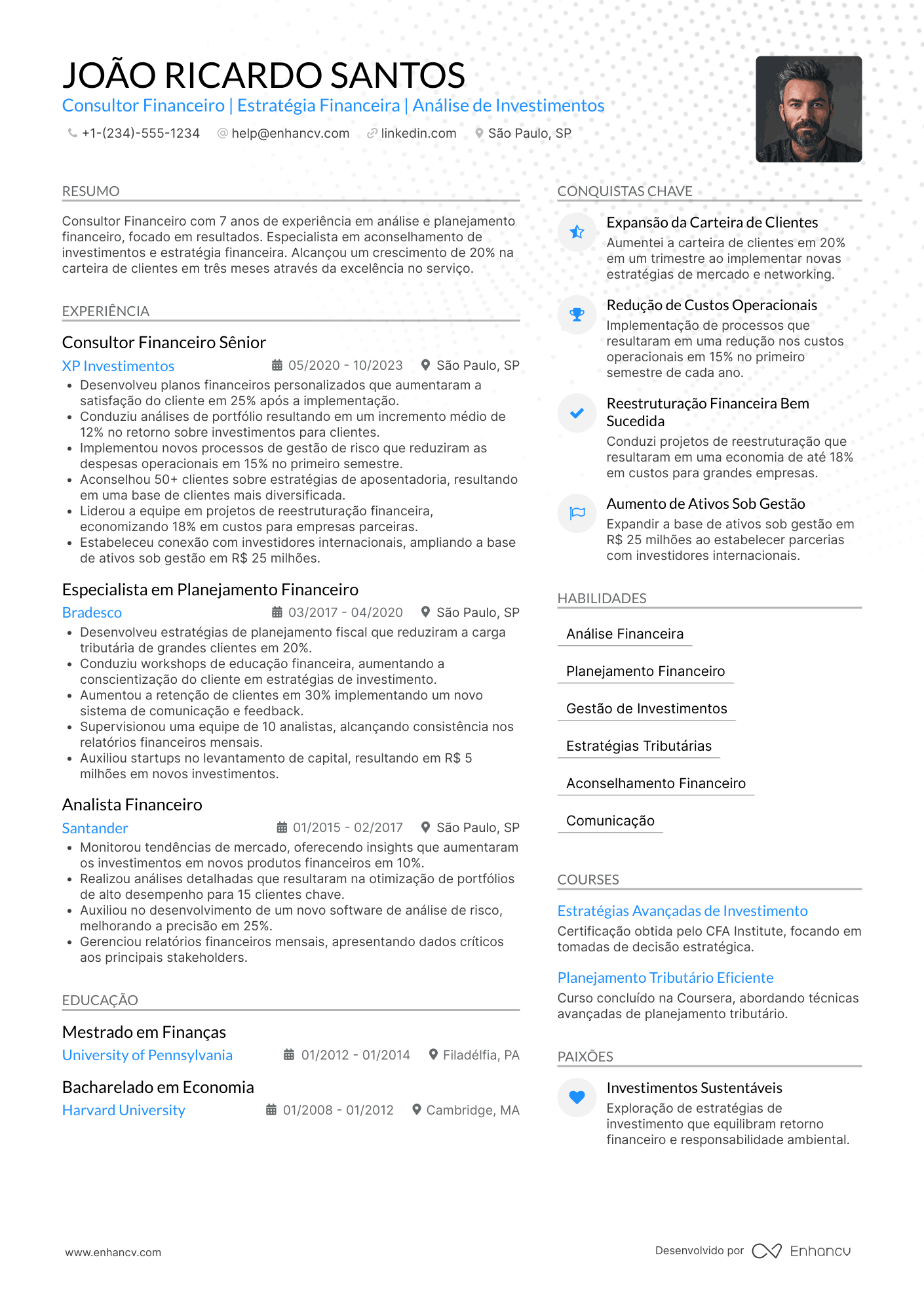 Consultor financeiro Resume Example