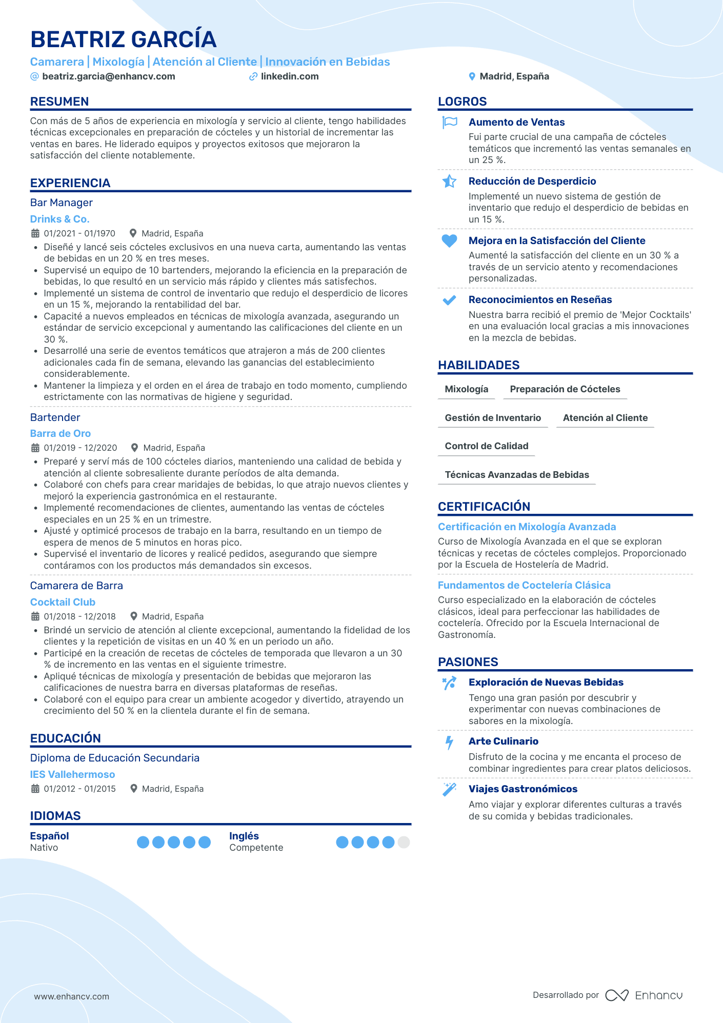 Camarero de Barra Resume Example