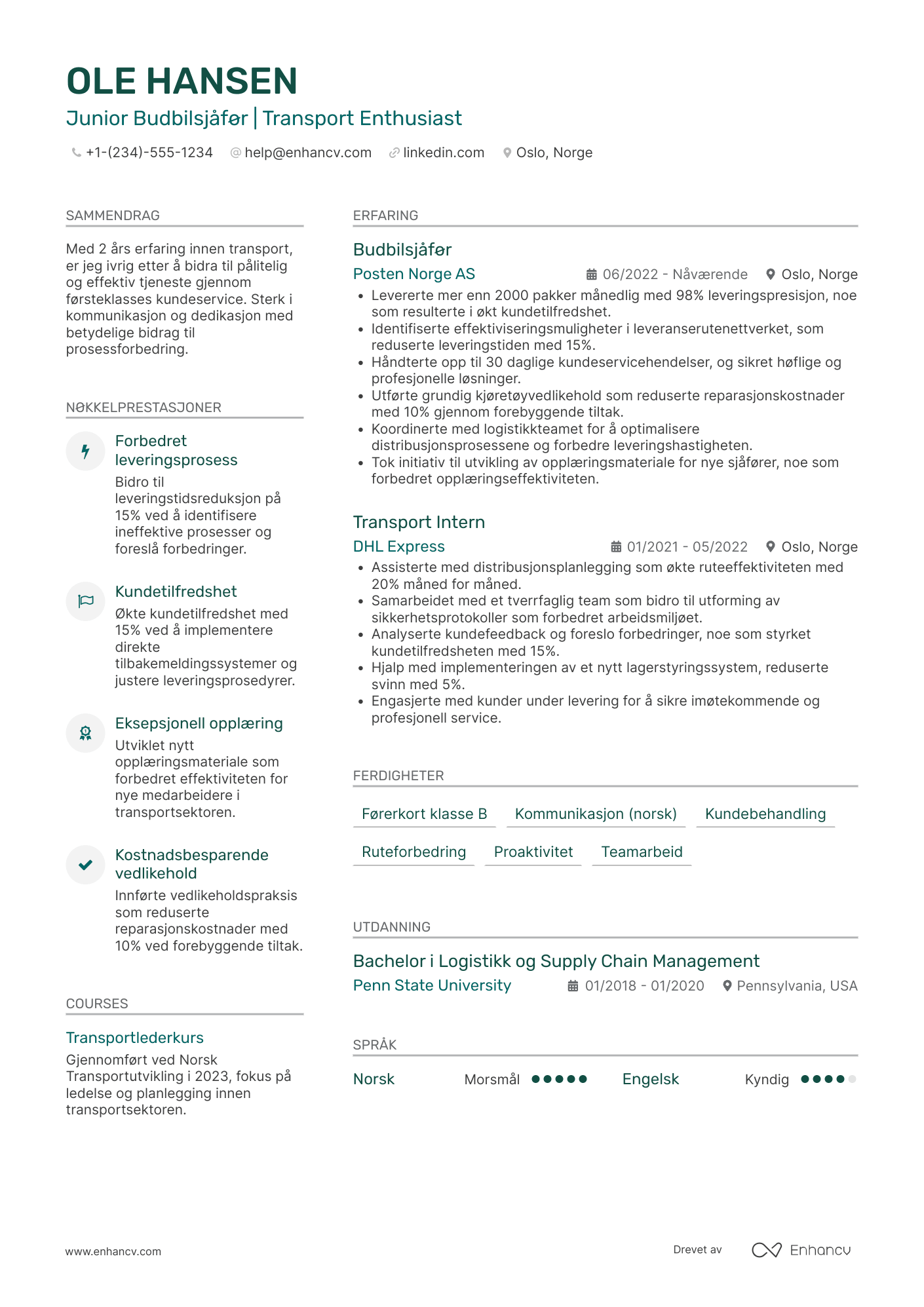 CV for Junior Budbilsjåfør Resume Example