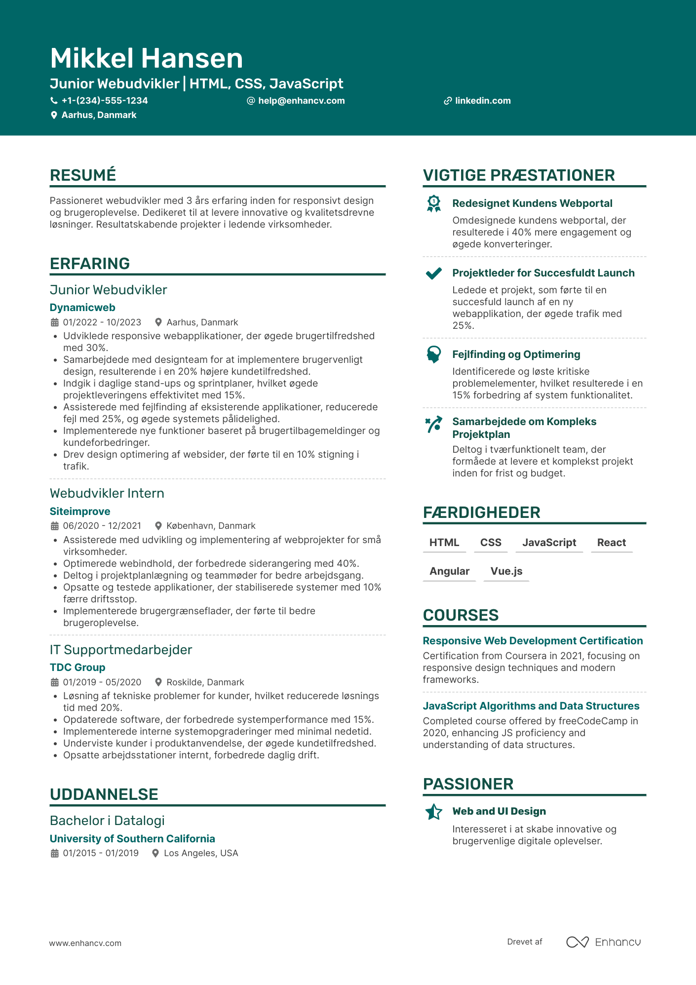 CV til Junior Webudvikler Resume Example