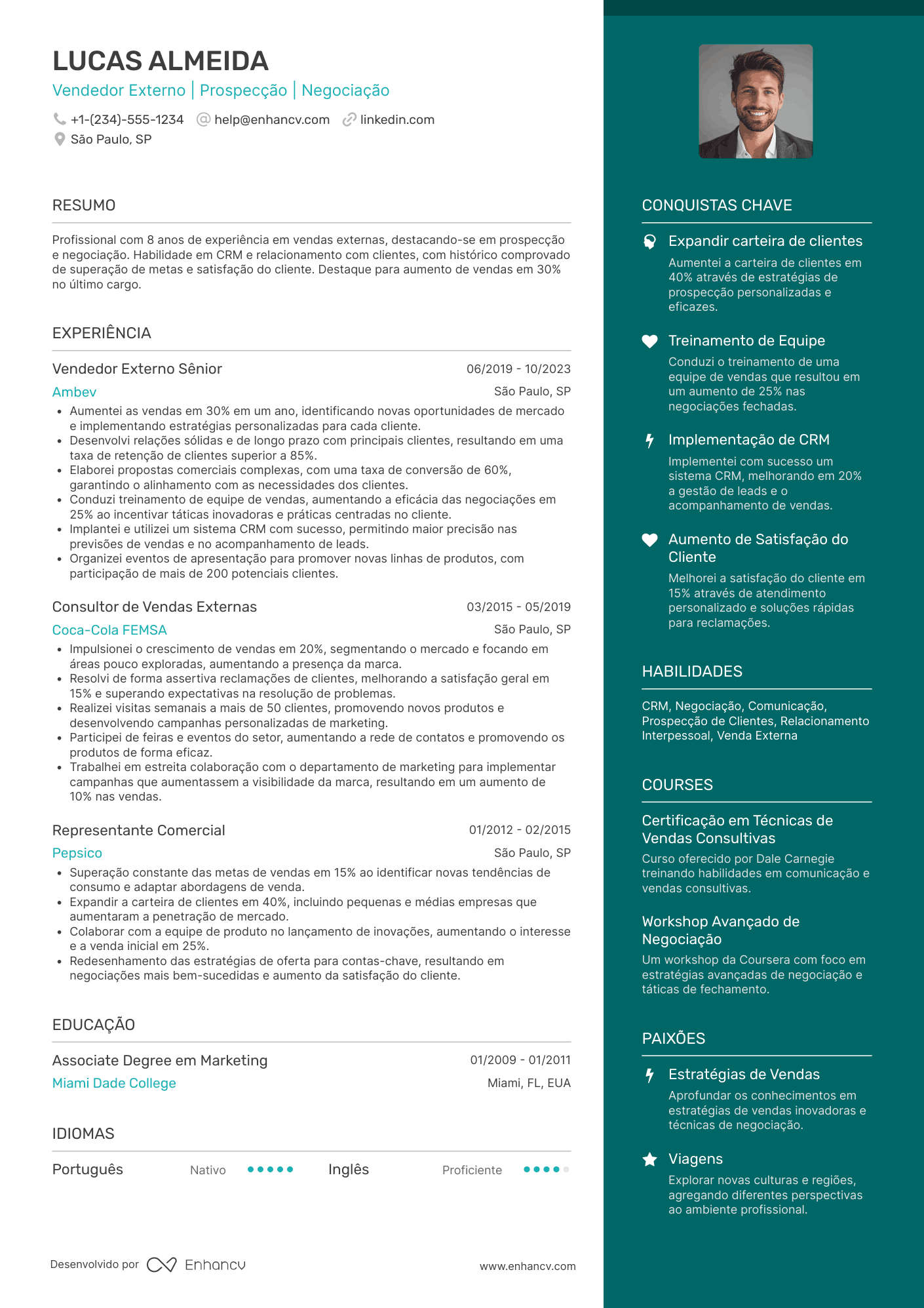 Currículo para vendedor externo Resume Example