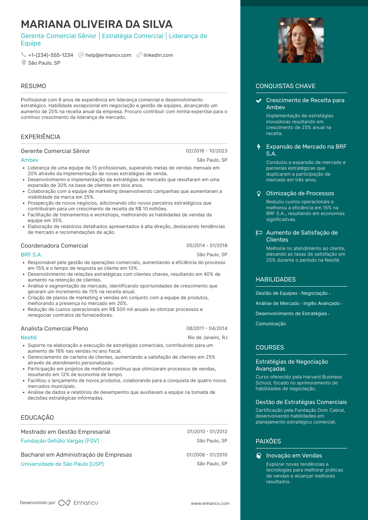 Currículo gerente comercial sênior Resume Example