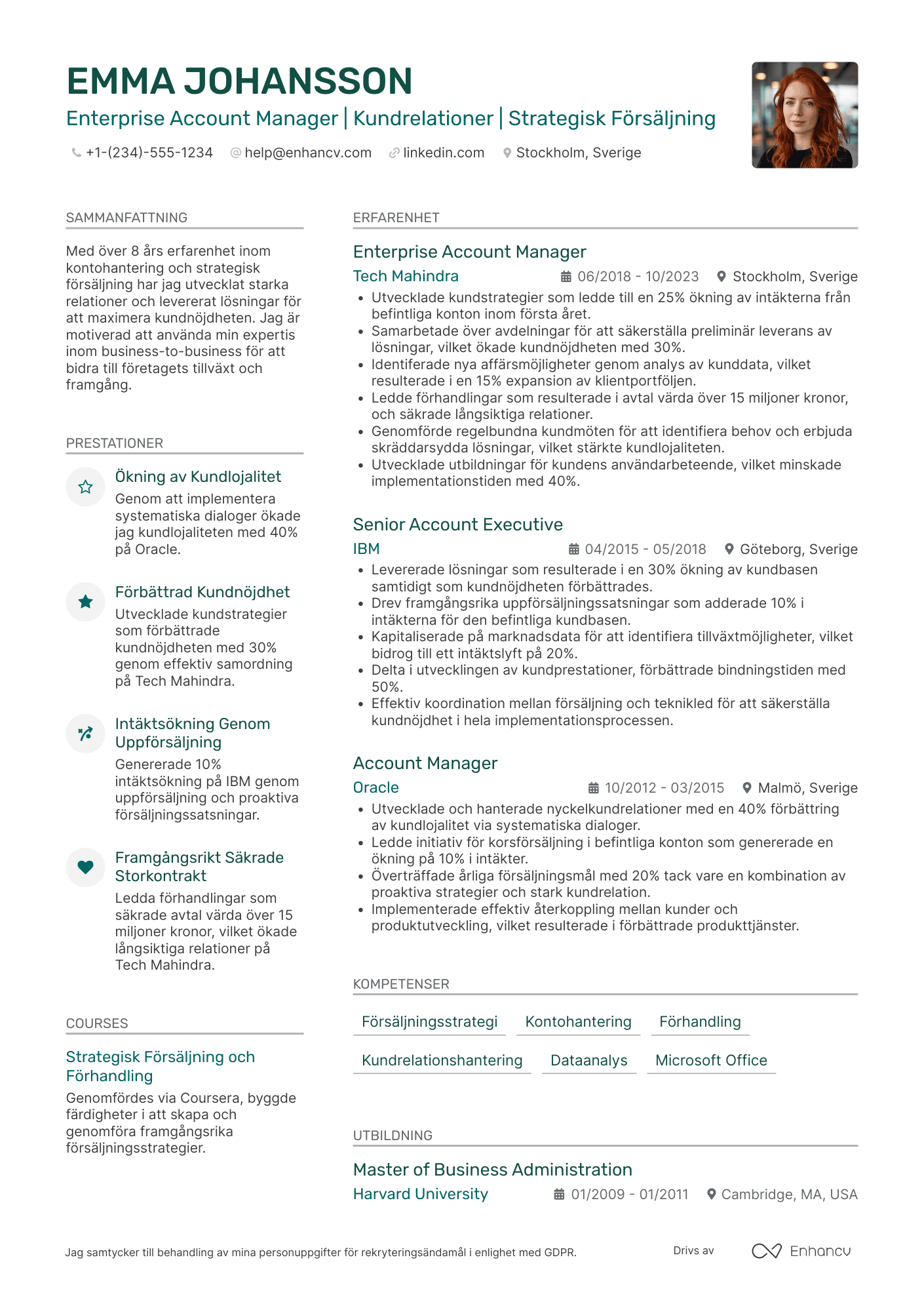 CV för Enterprise Account Manager Resume Example