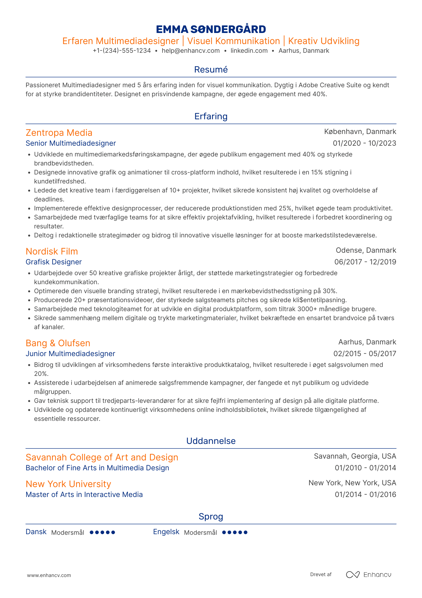 CV til Multimediadesigner Resume Example
