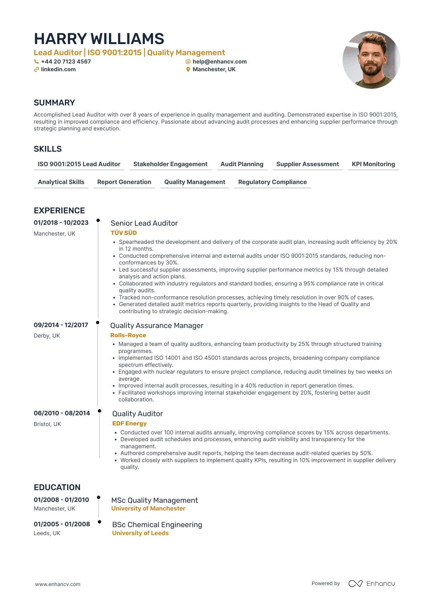 Lead External Auditor Resume Example