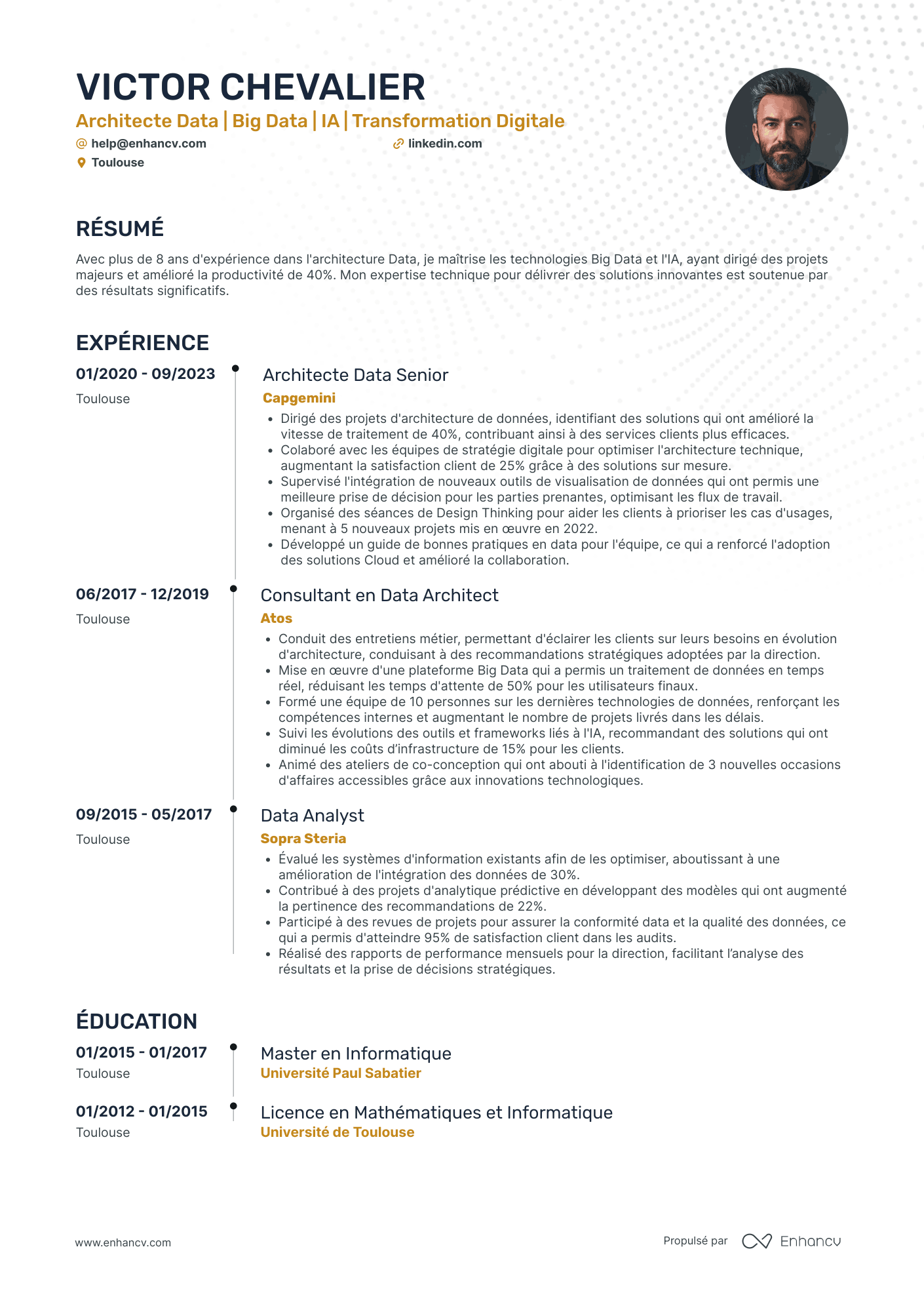 Data Architect Resume Example