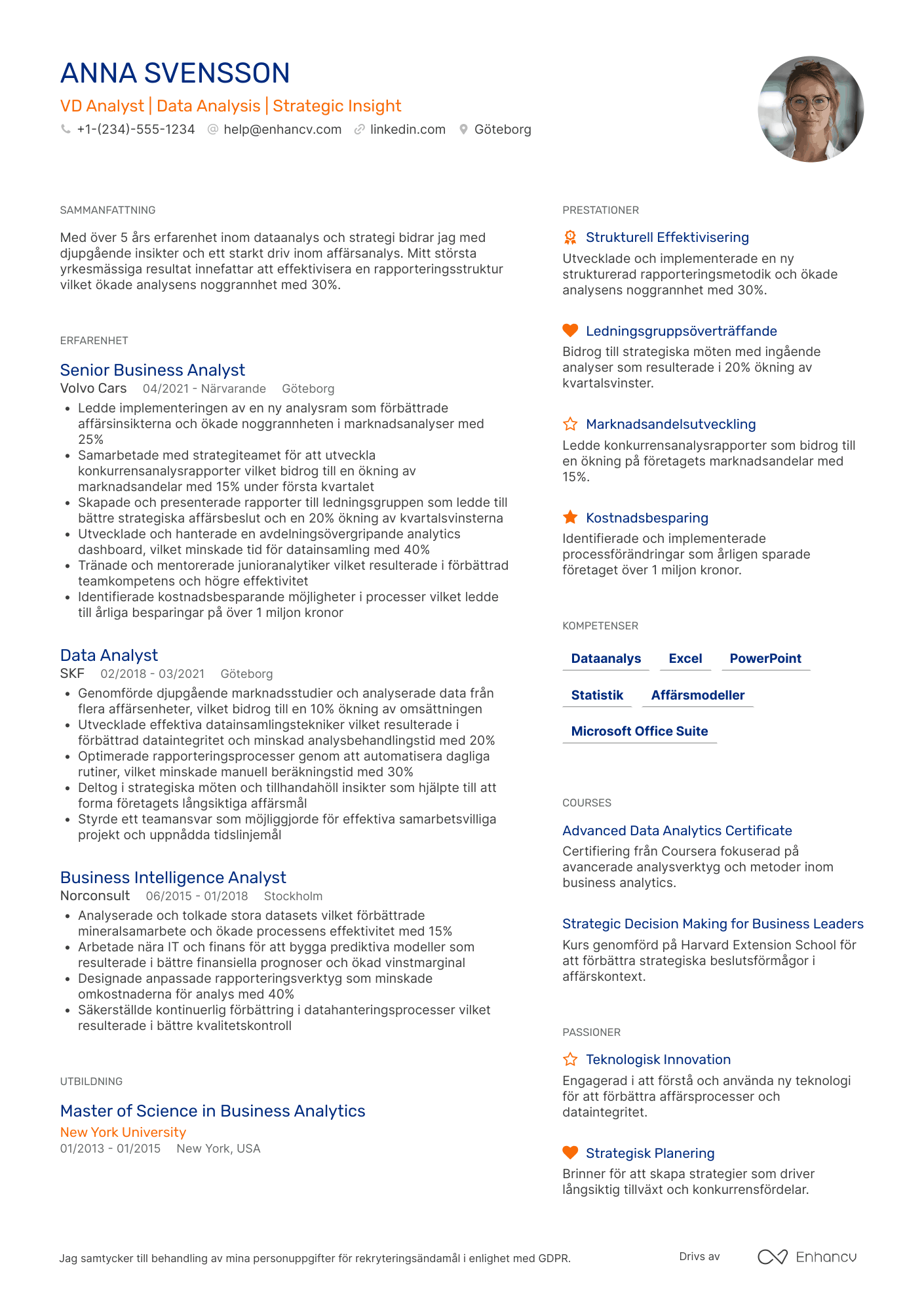 CV för VD Analyst Resume Example