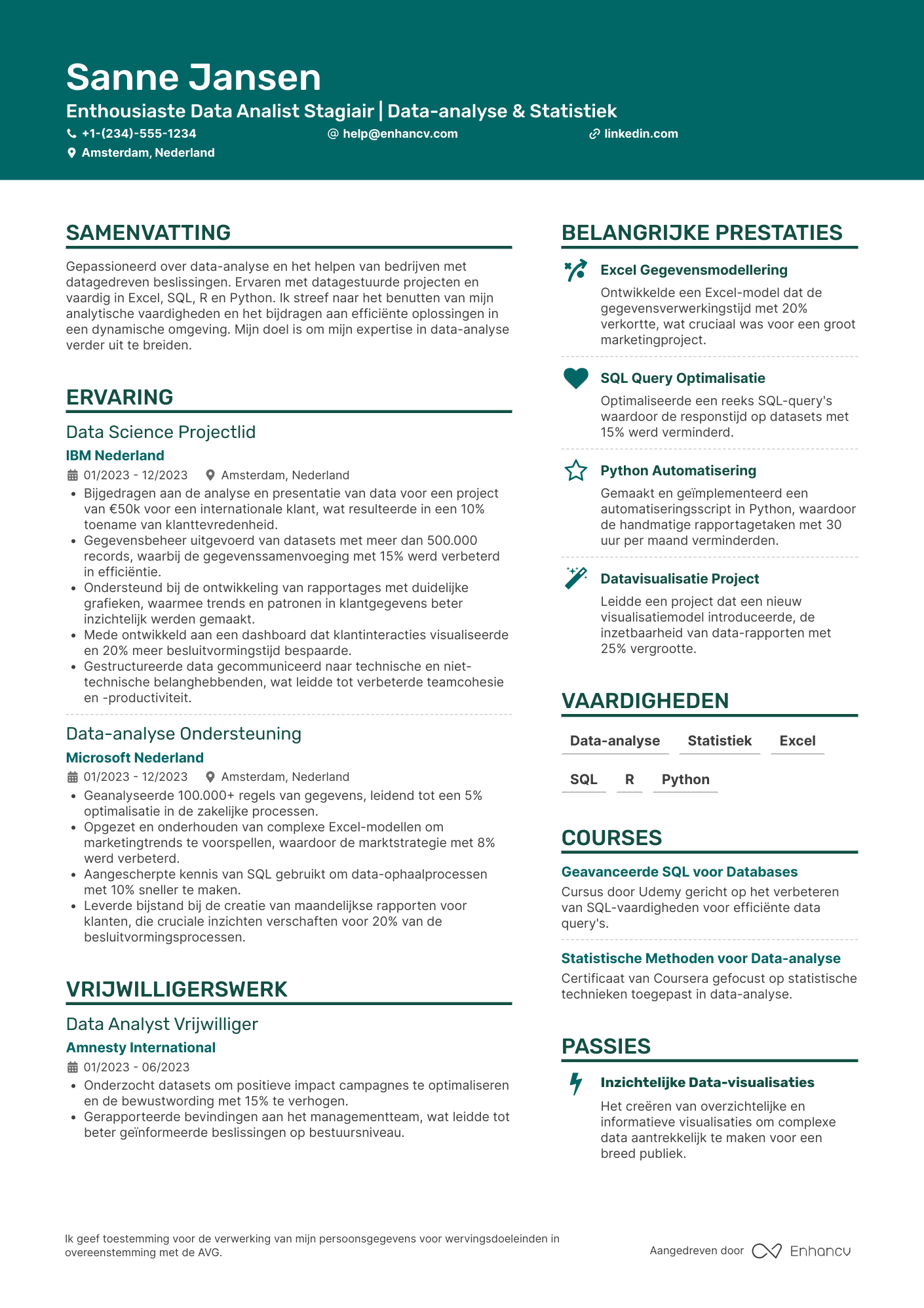 CV voor Data Analist Intern Resume Example
