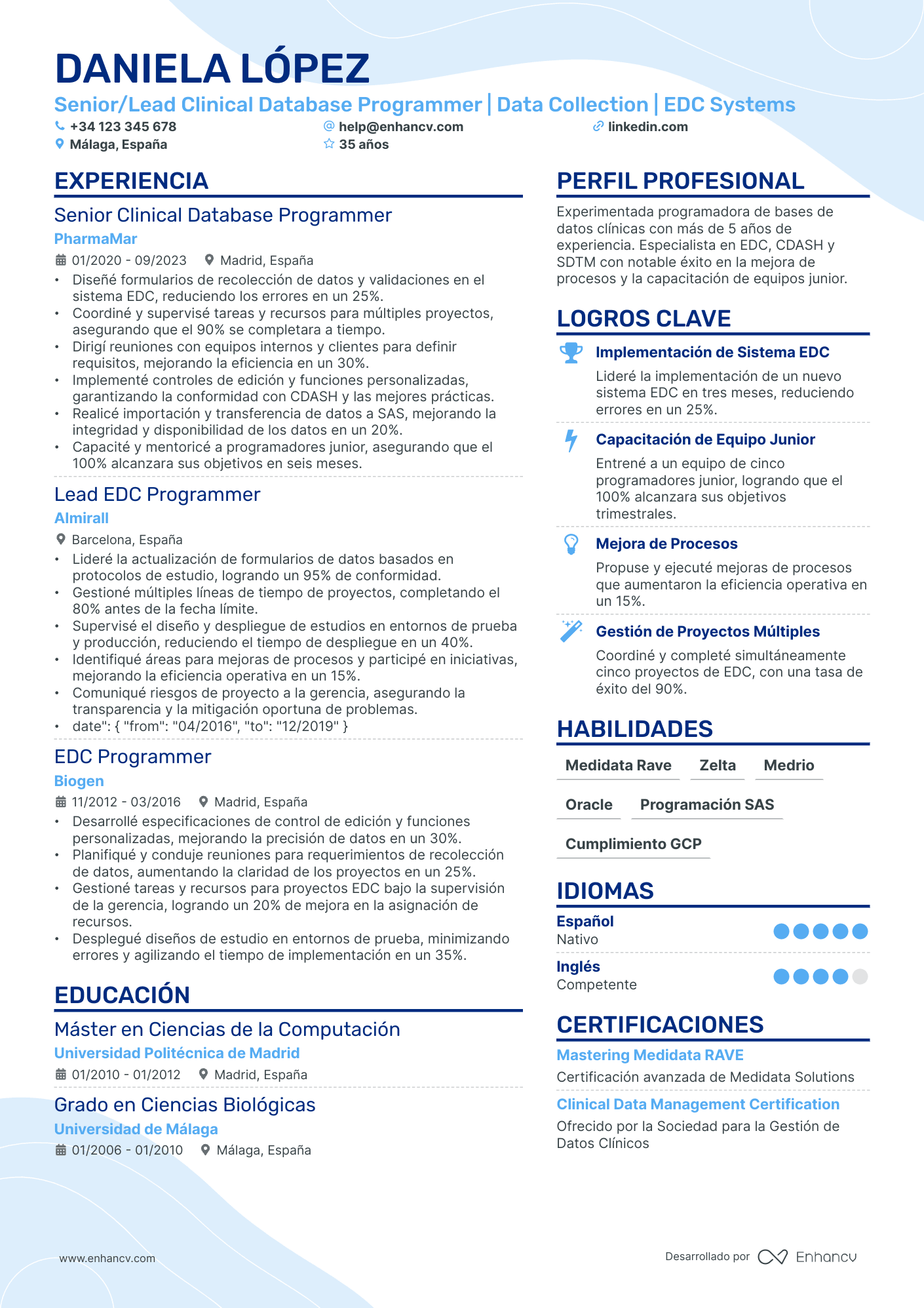 Líder de Programadores Resume Example