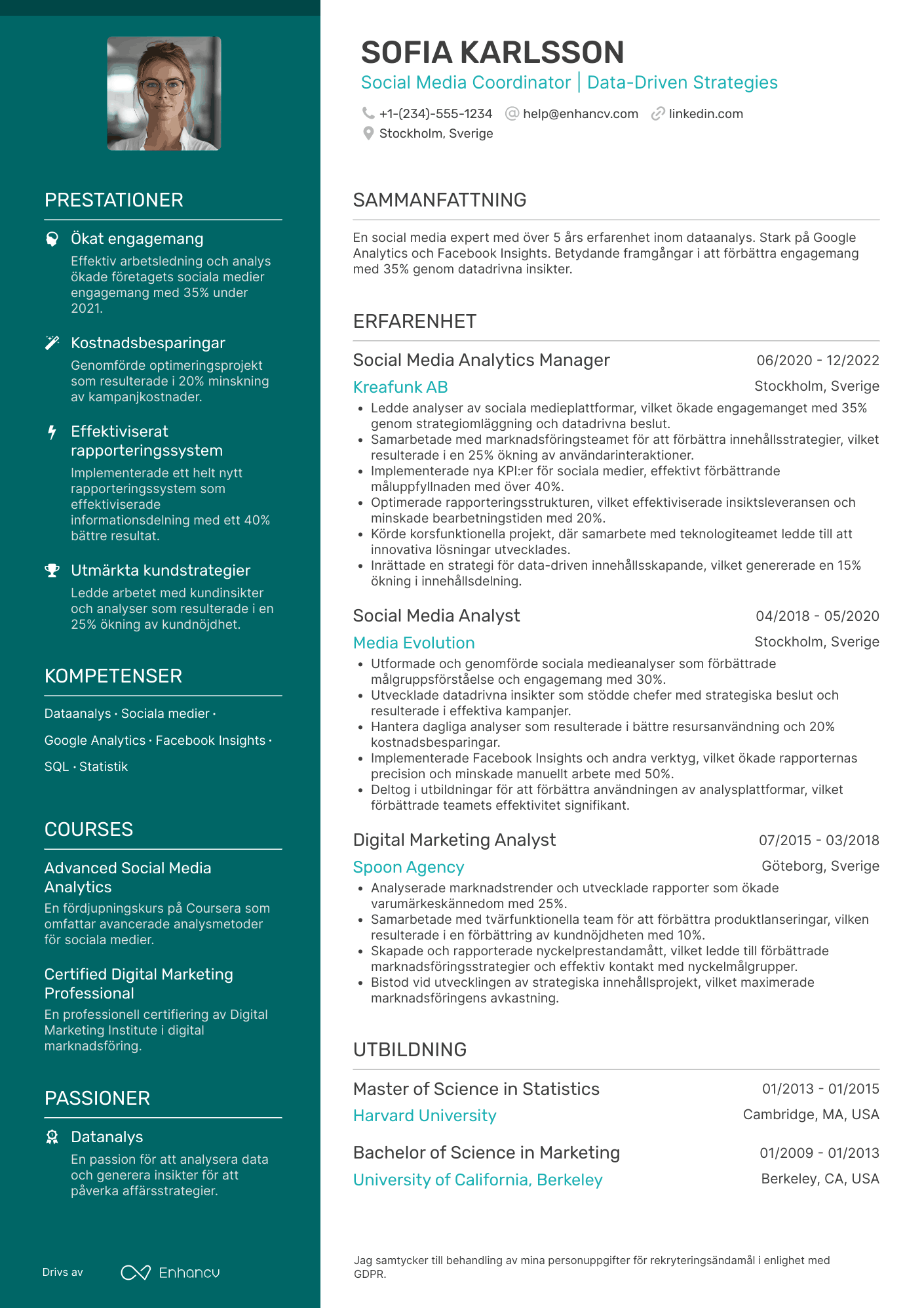 CV för Social Media Analytics Coordinator Resume Example