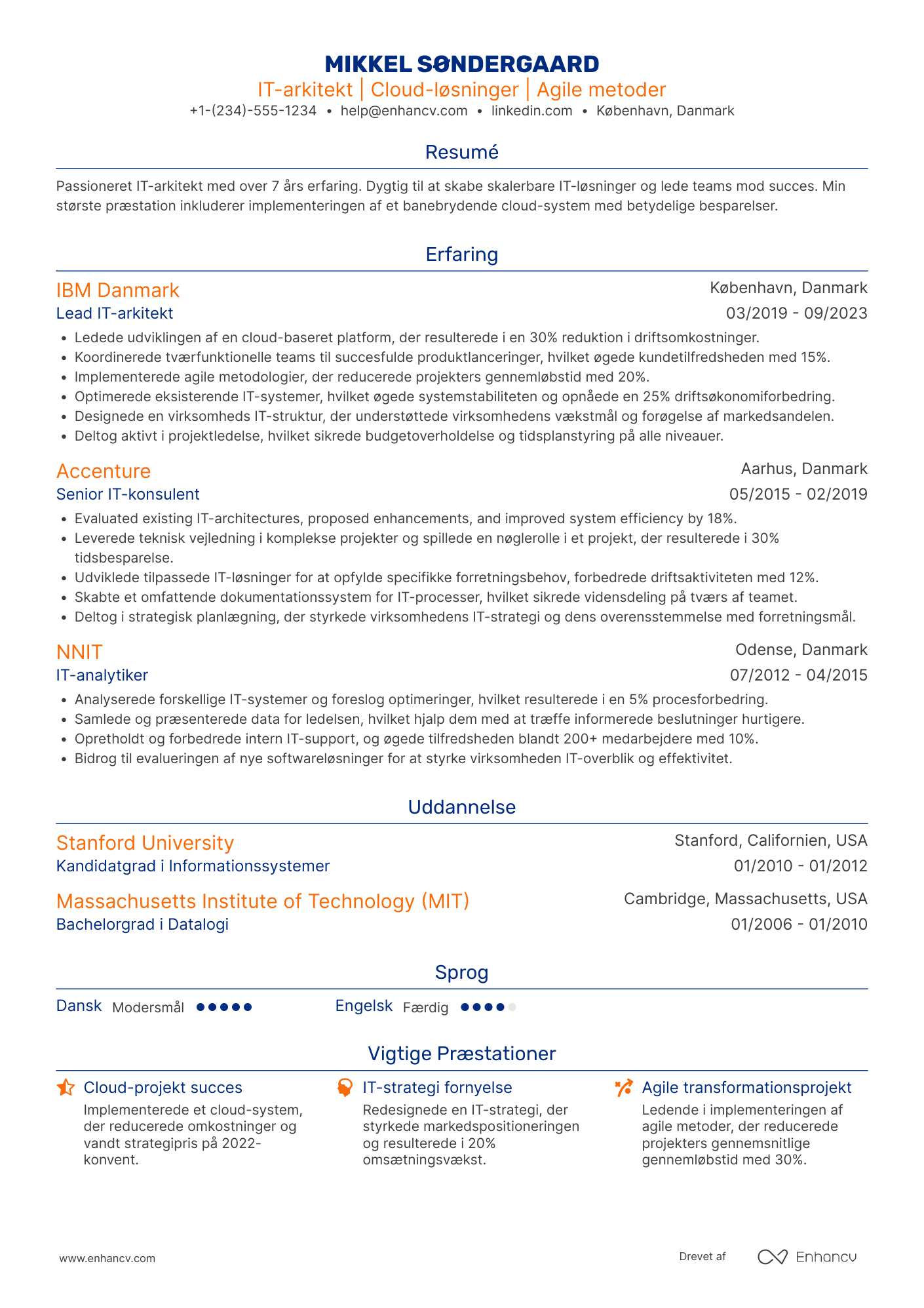 CV til IT arkitekt Resume Example