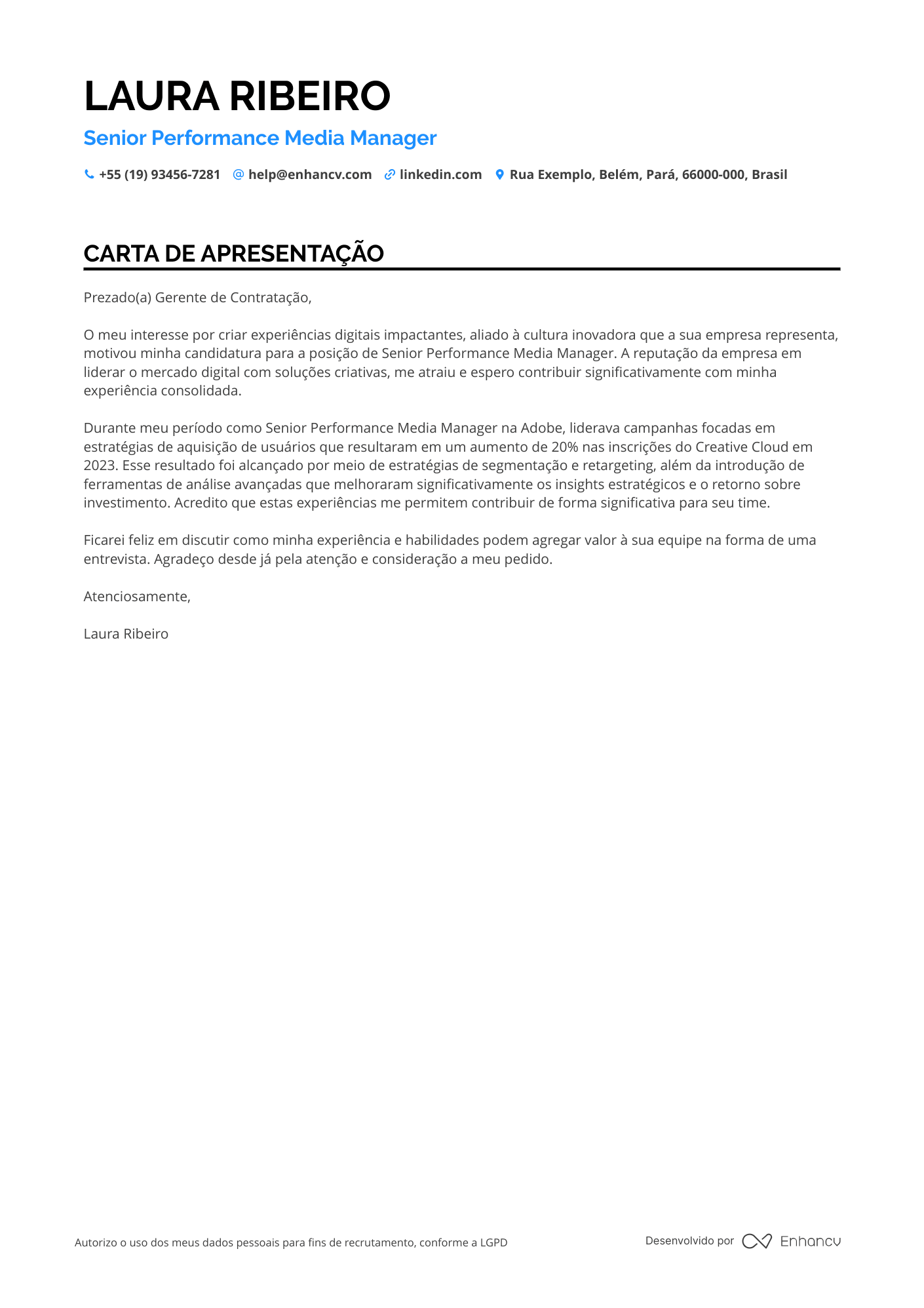 Artista de Performance Resume Example