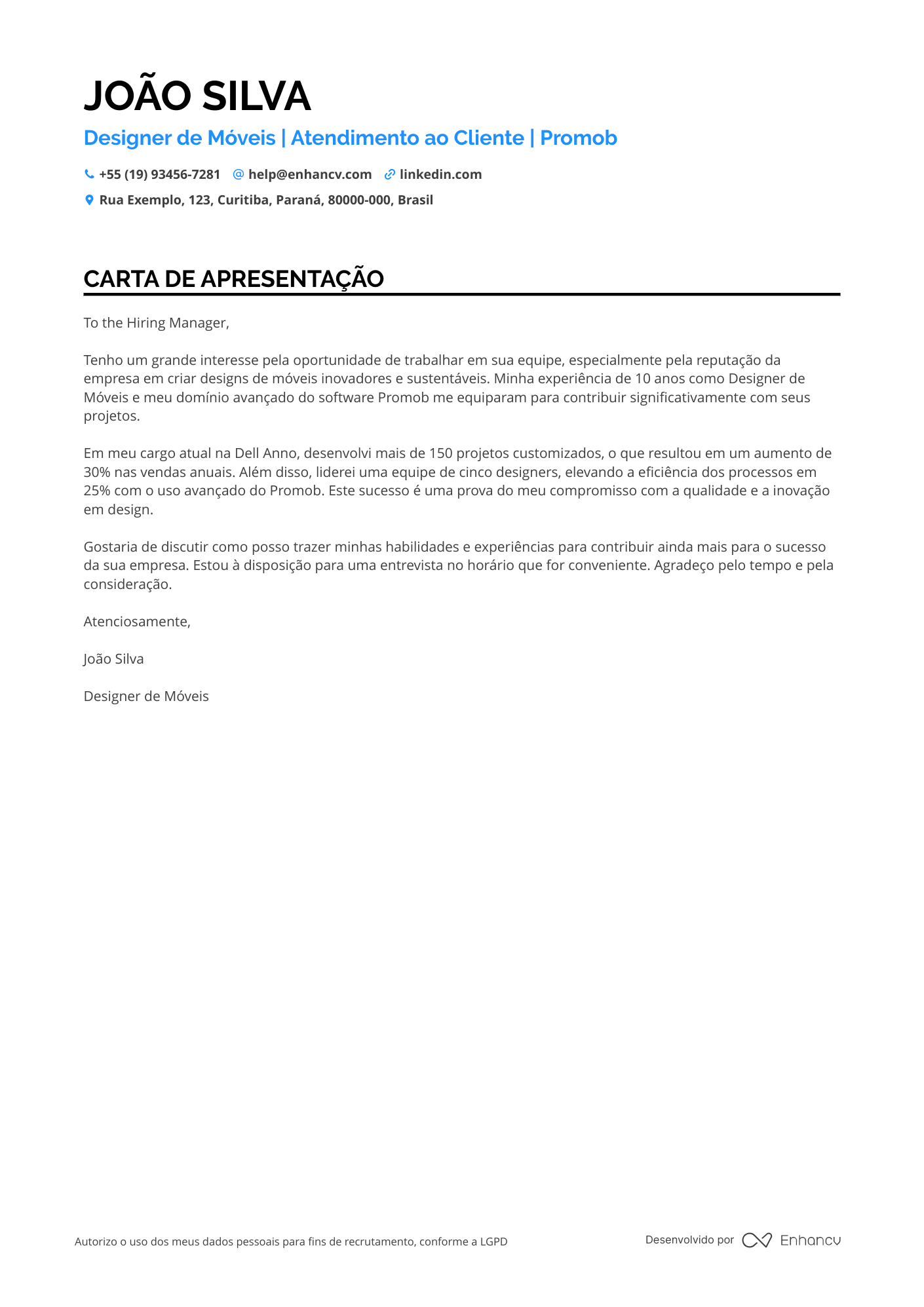 Designer de Móveis Resume Example
