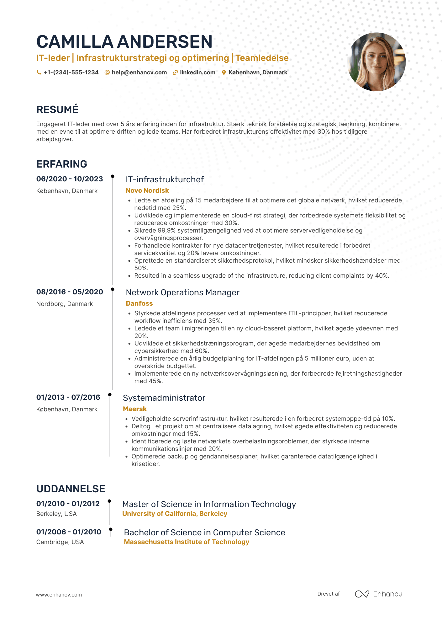 CV til IT leder for infrastruktur Resume Example