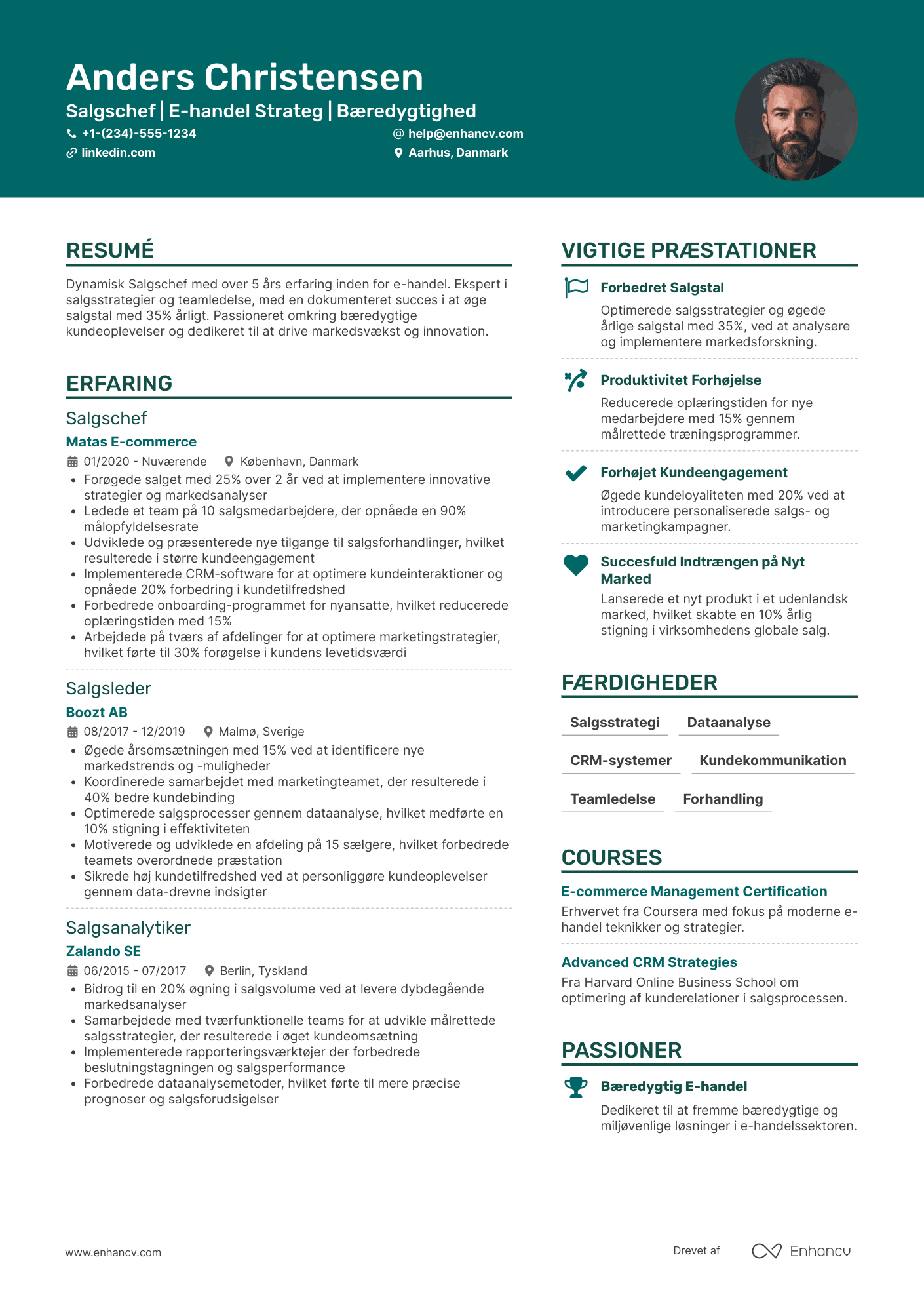 CV til Salgschef i E handel Resume Example