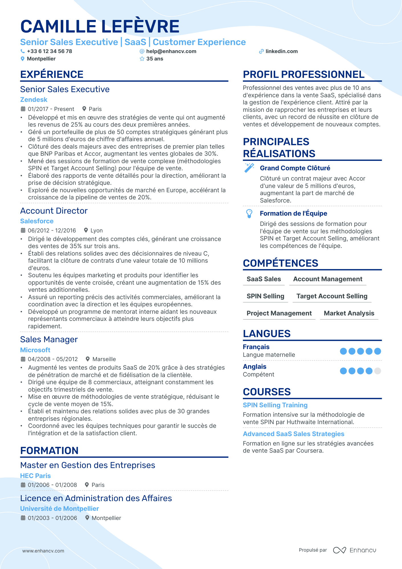 Directeur Commercial Senior Resume Example