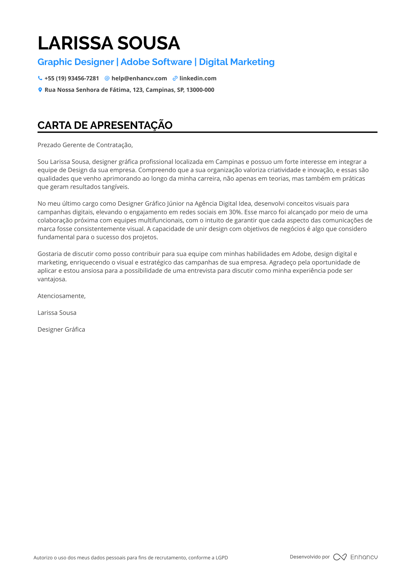 Ilustrador Júnior Resume Example