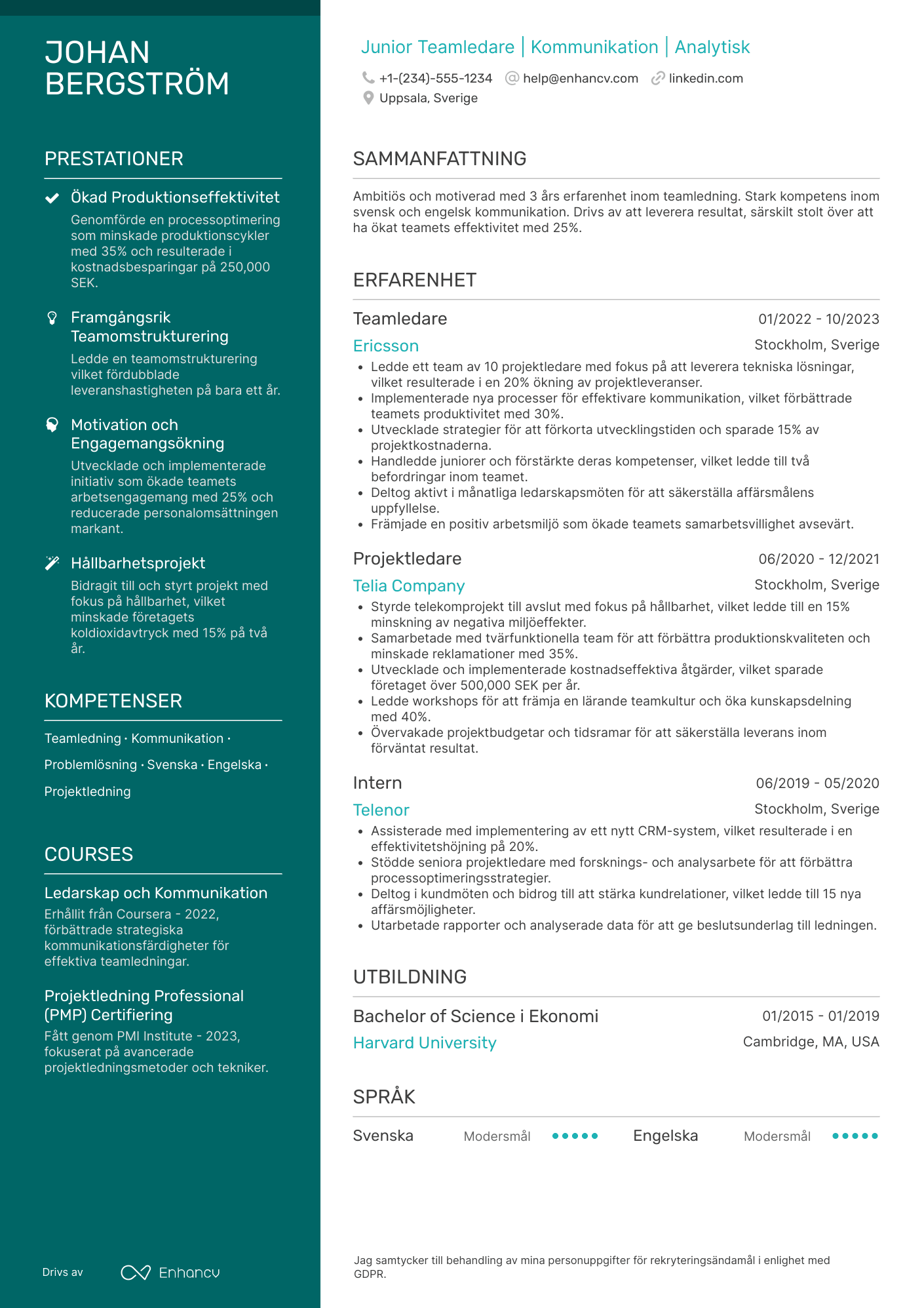 CV för Junior Teamledare Resume Example