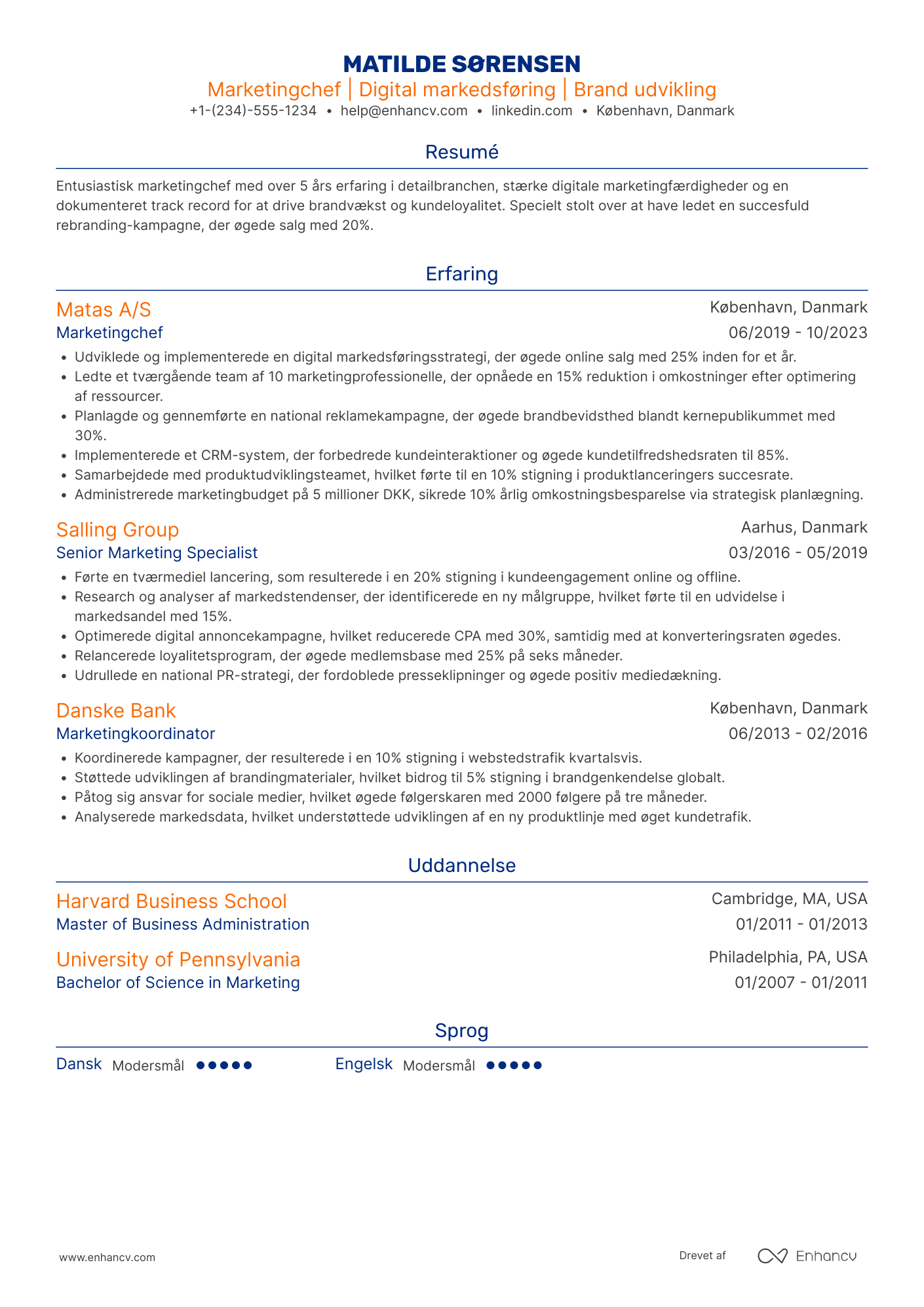 CV til Marketingchef i detailbranchen Resume Example