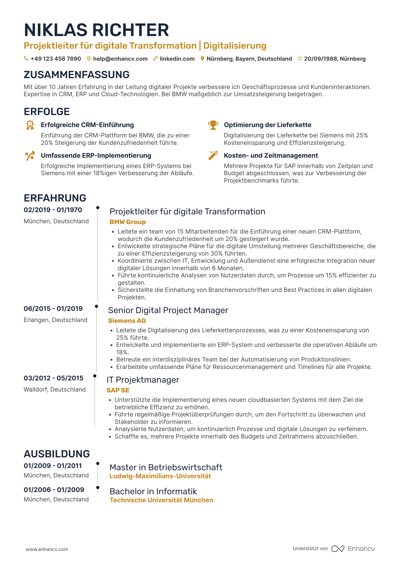 Lebenslauf als Projektleiter für digitale Transformation Resume Example