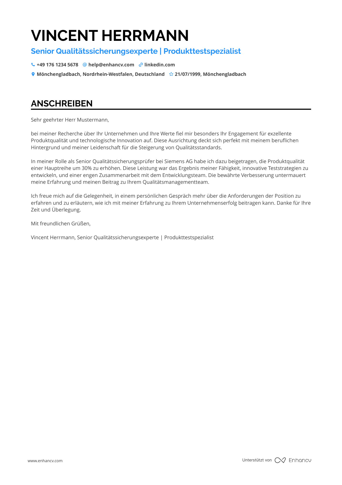 Senior Prüfer Resume Example