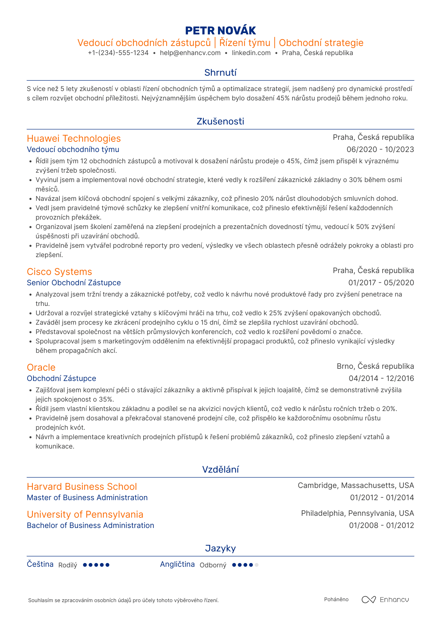 Životopis pro Vedoucí obchodních zástupců Resume Example