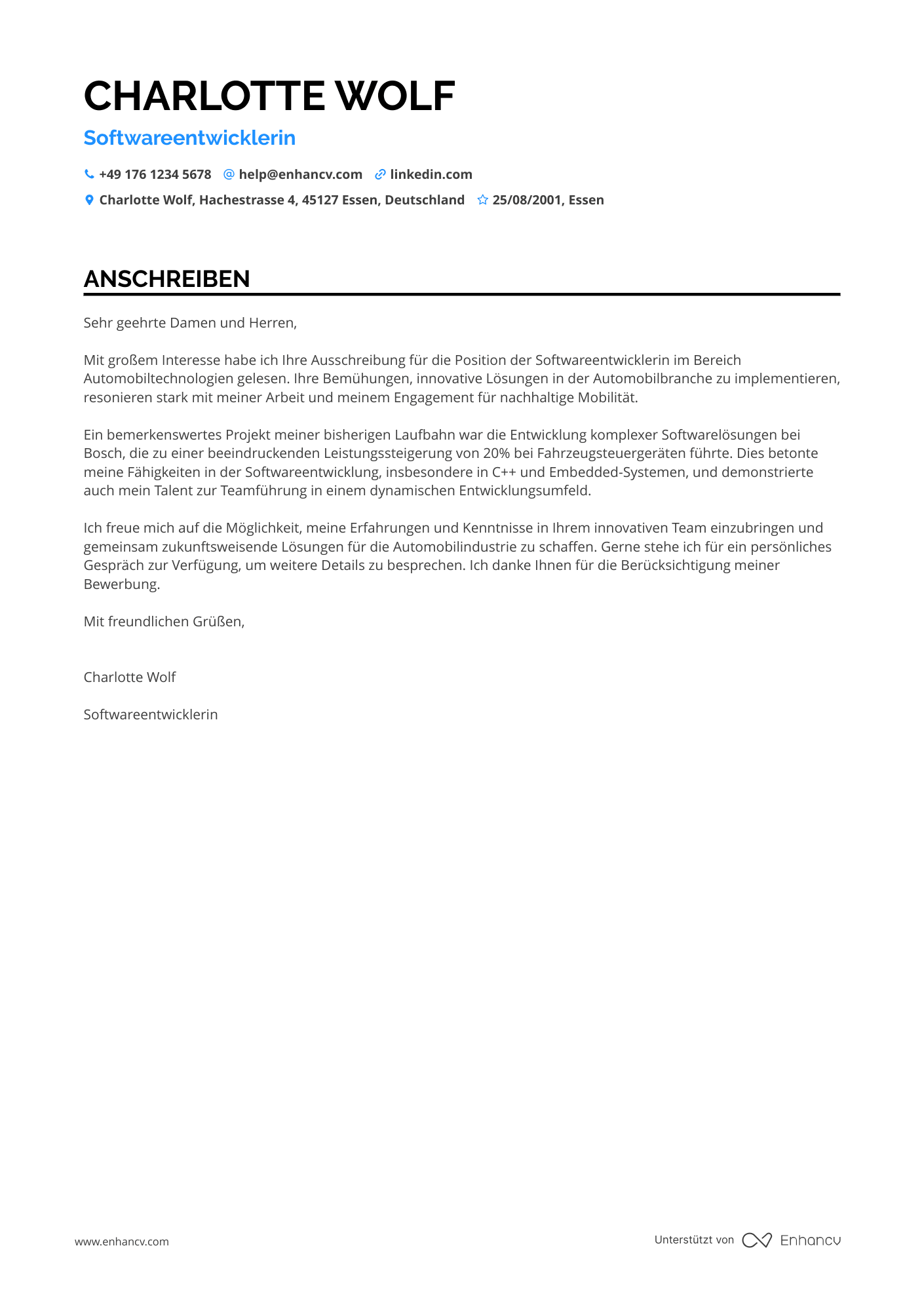Programmierer in der Automobilindustrie Resume Example