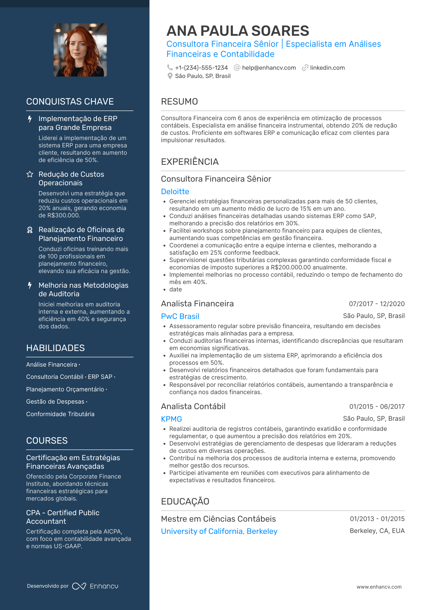 Currículo de contador de consultoria financeira Resume Example