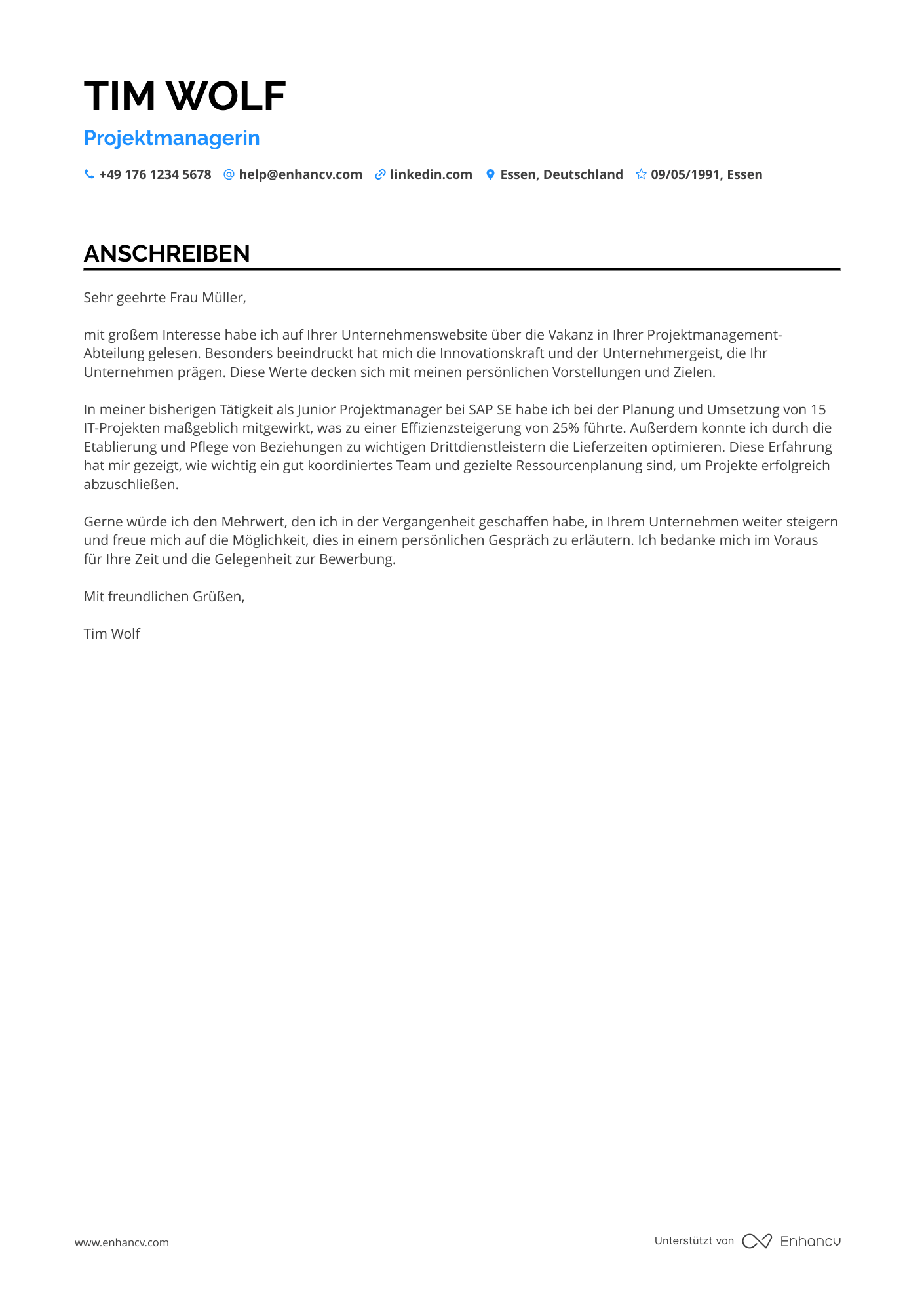 Junior Projektmanager Resume Example