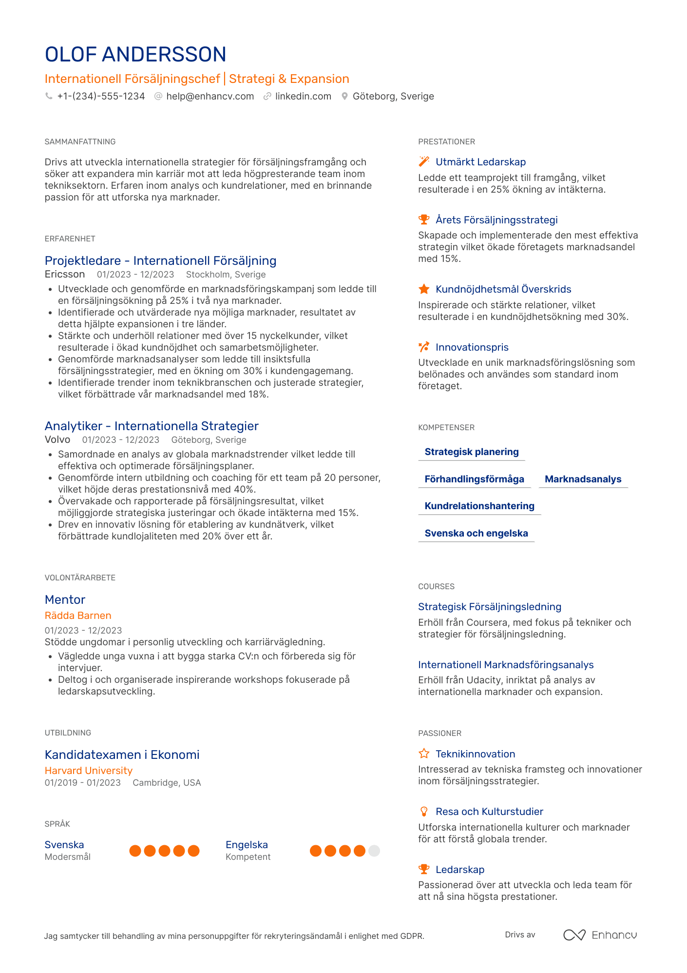 CV för Internationell Försäljningschef Resume Example