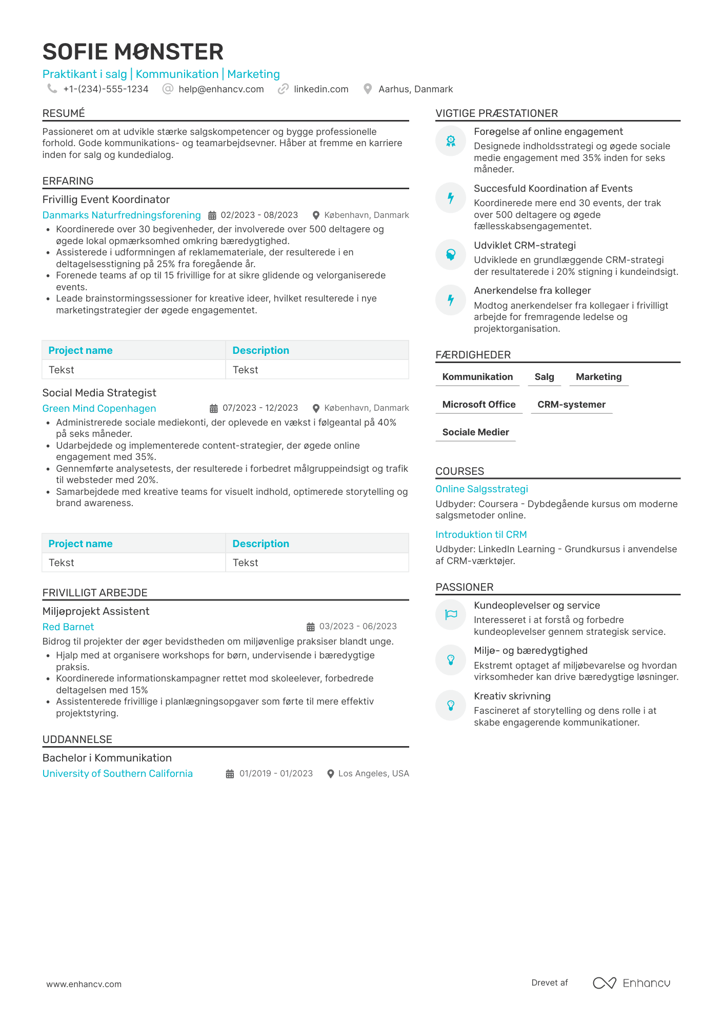 CV til Intern salgsmedarbejder Resume Example