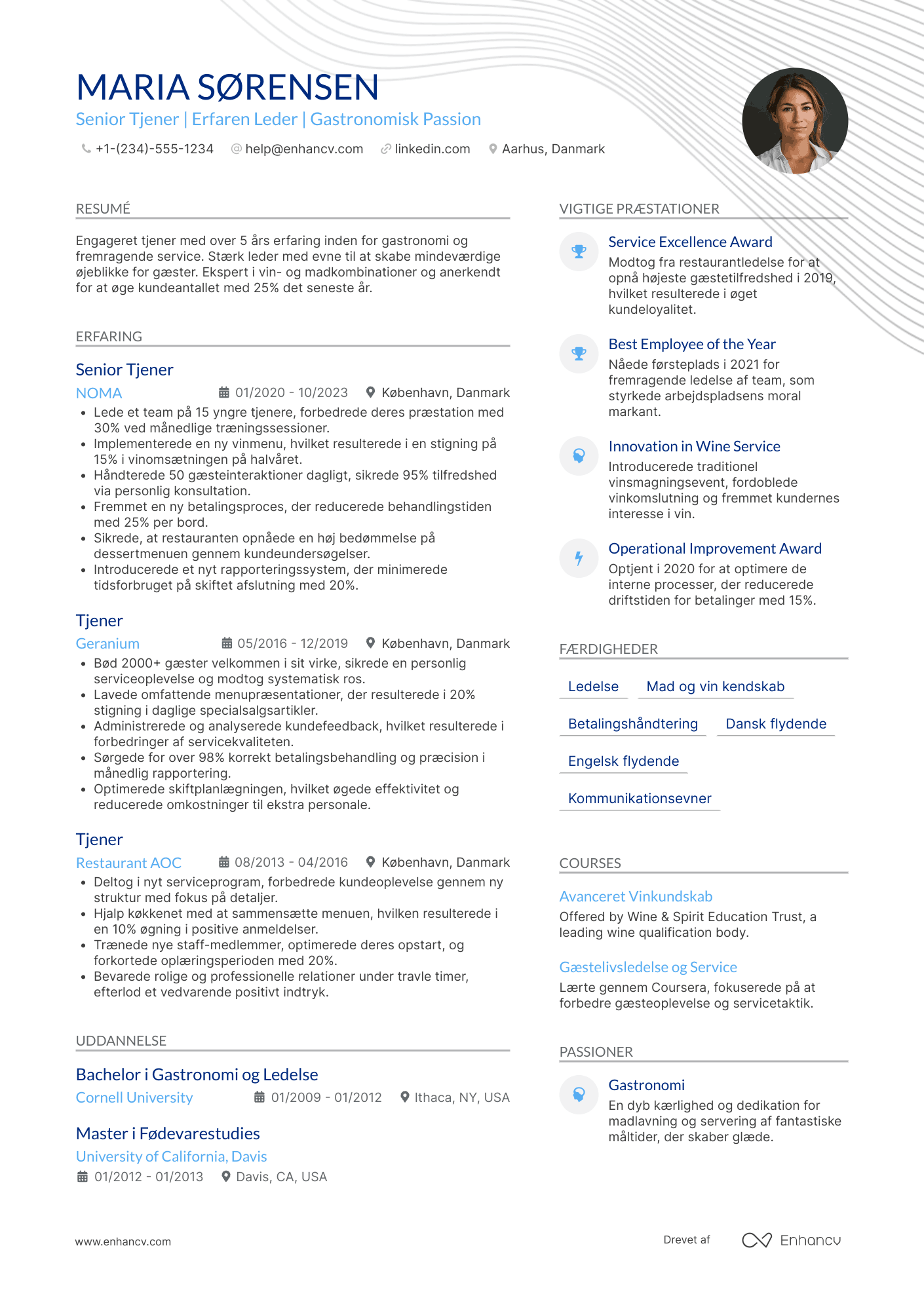 CV til Senior Tjener Resume Example