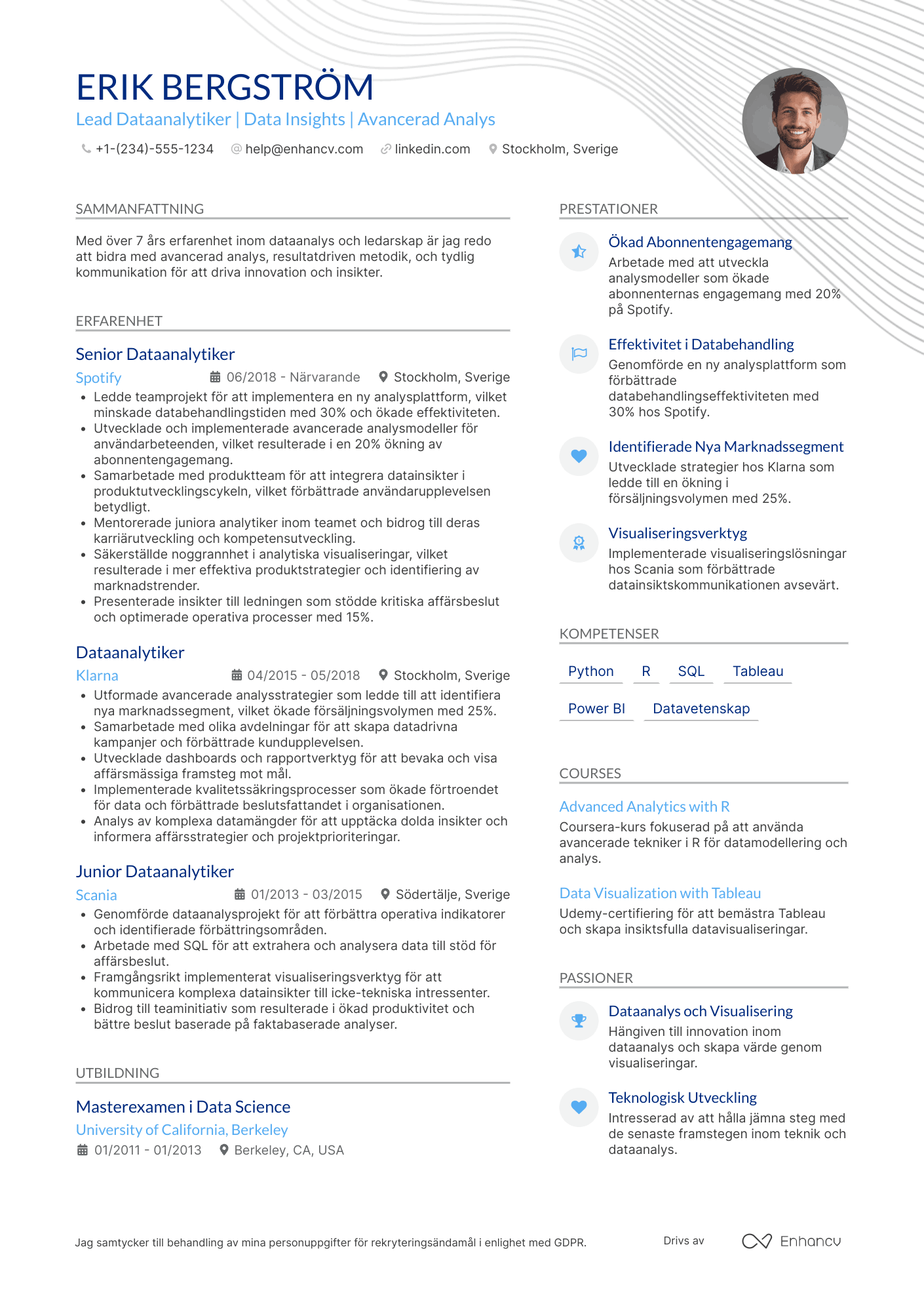 CV för Lead Dataanalytiker Resume Example
