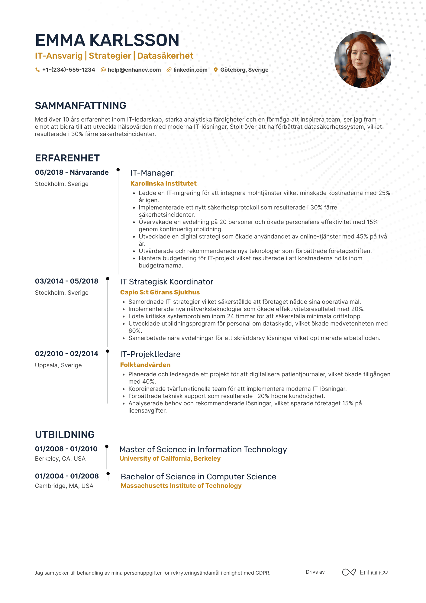 CV för IT Ansvarig Hälsovård Resume Example