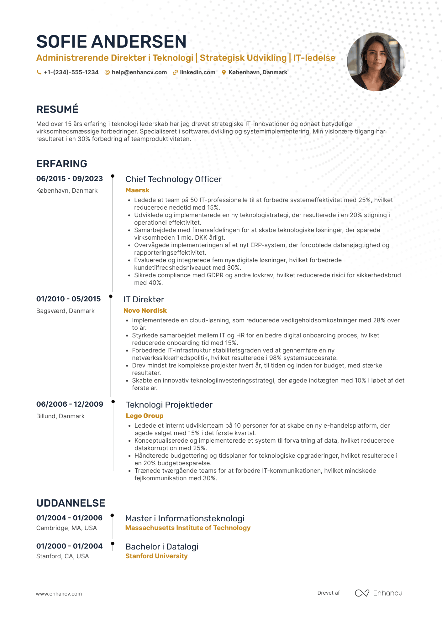 CV til Administrerende Direktør for Teknologi Resume Example