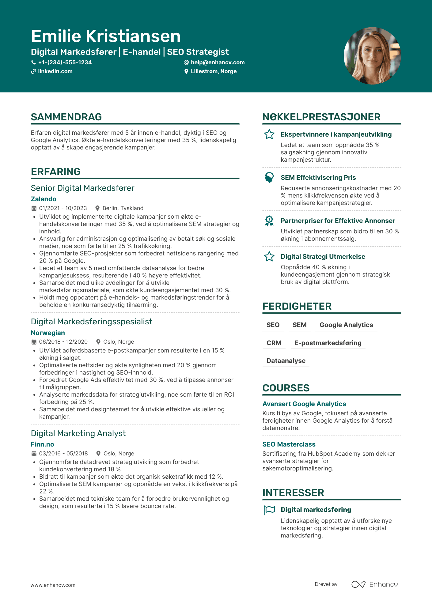 CV for E handel digital markedsfører Resume Example