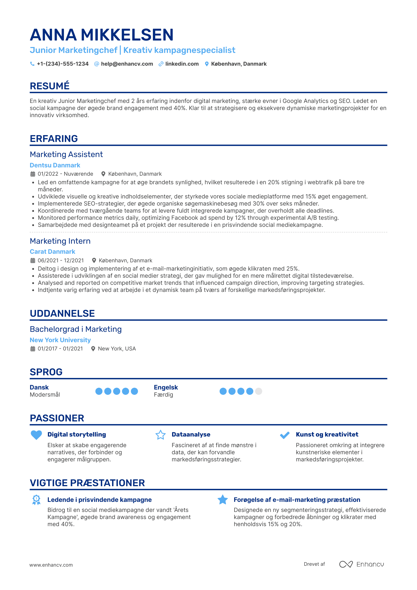 CV til Junior marketingchef Resume Example
