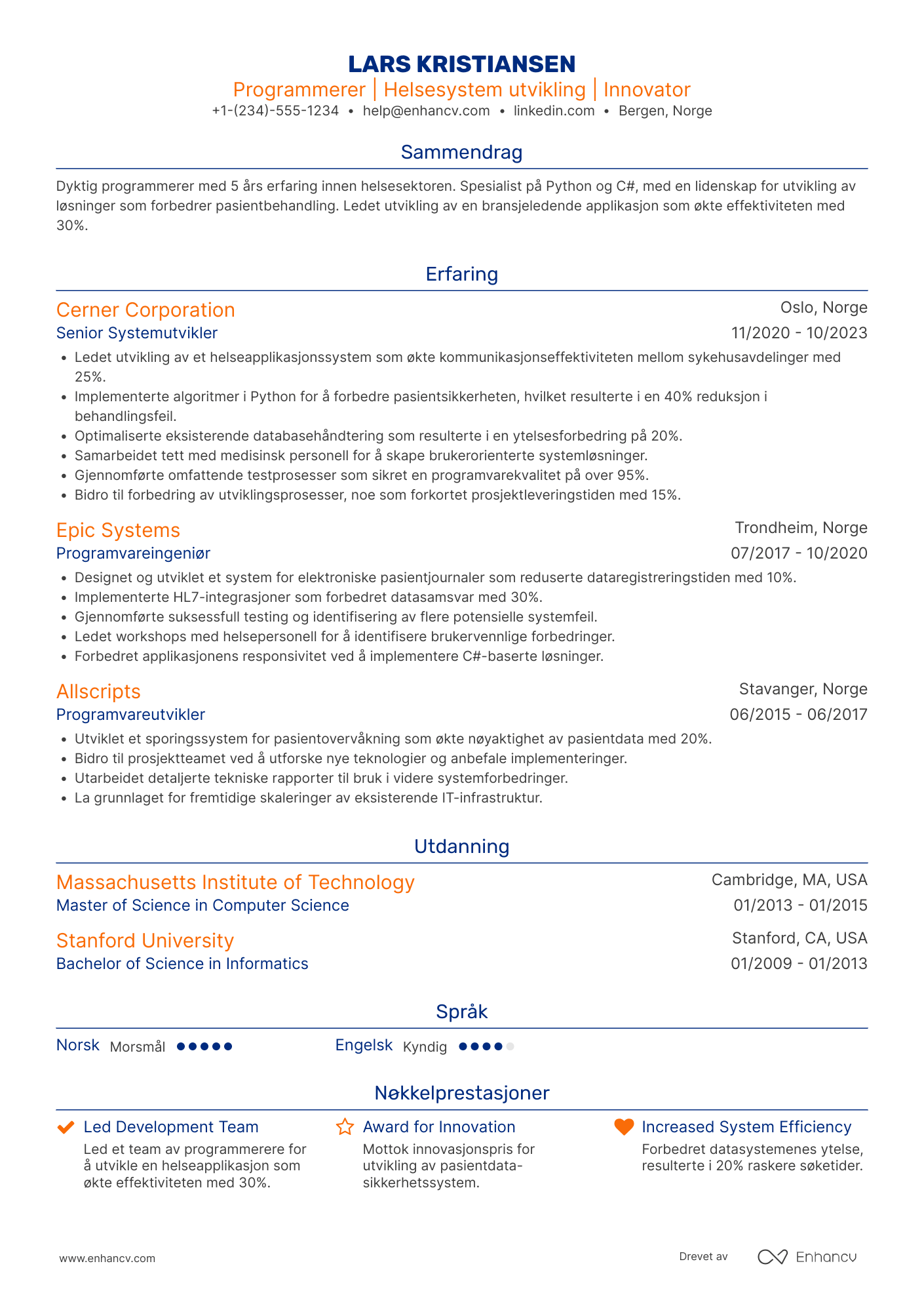 CV for Programmerer i helsesektoren Resume Example