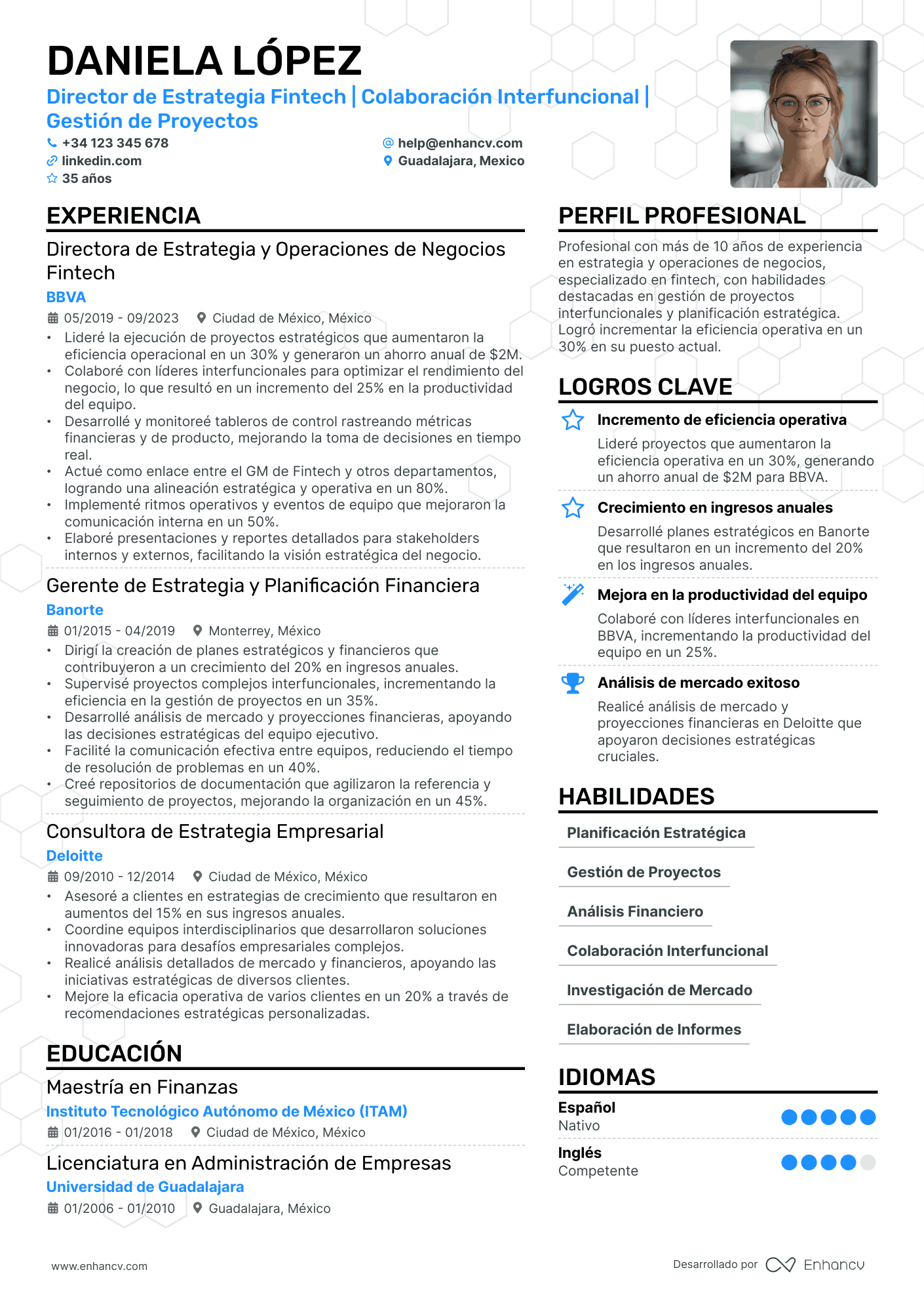 Director Financiero Resume Example