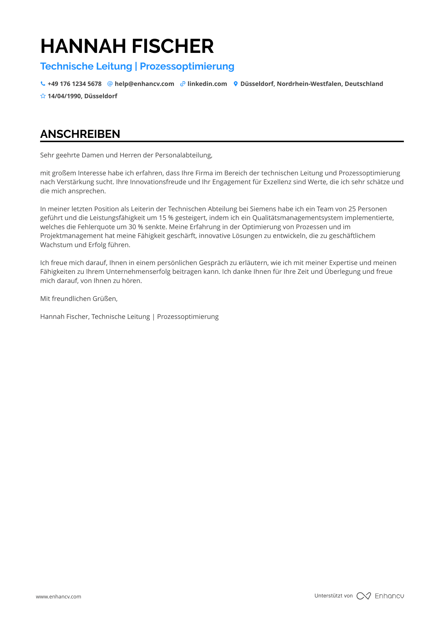 Technischer Leiter auf Führungsebene Resume Example