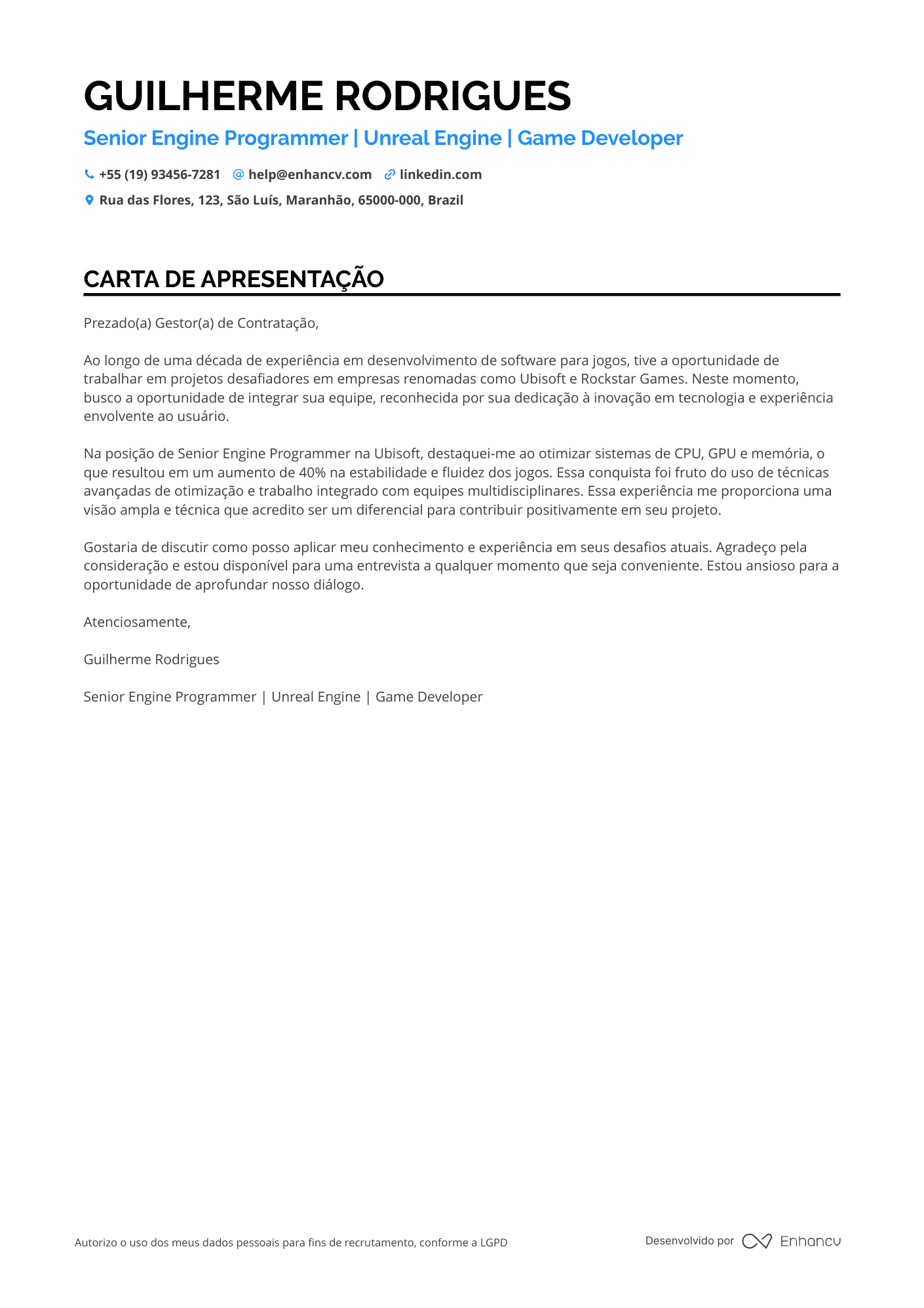 Programador Sênior Resume Example