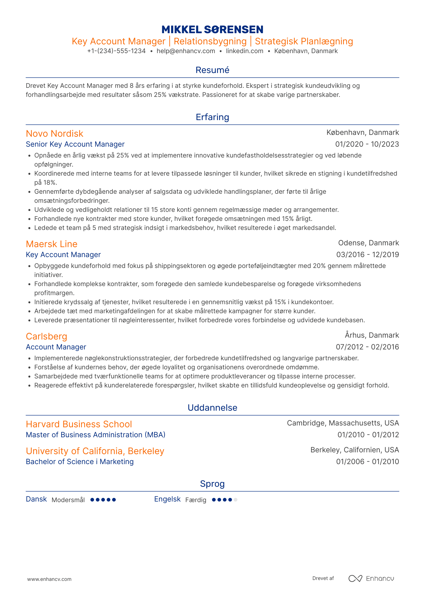 CV til Key account manager Resume Example