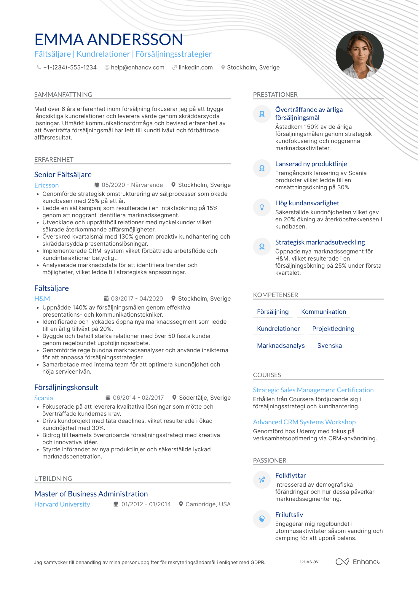 CV för Fältsäljare Resume Example