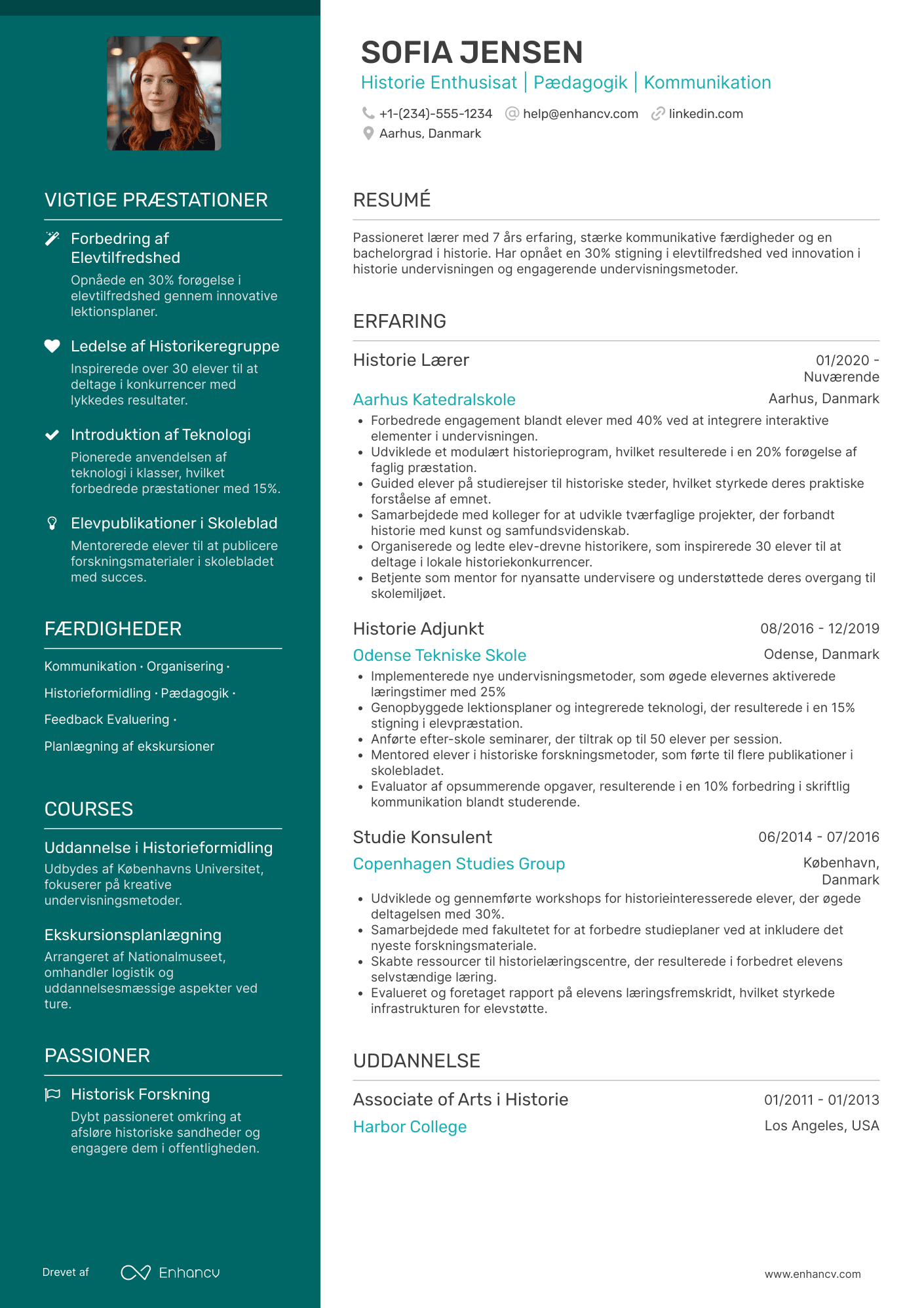 CV til Historie undervisningsassistent Resume Example